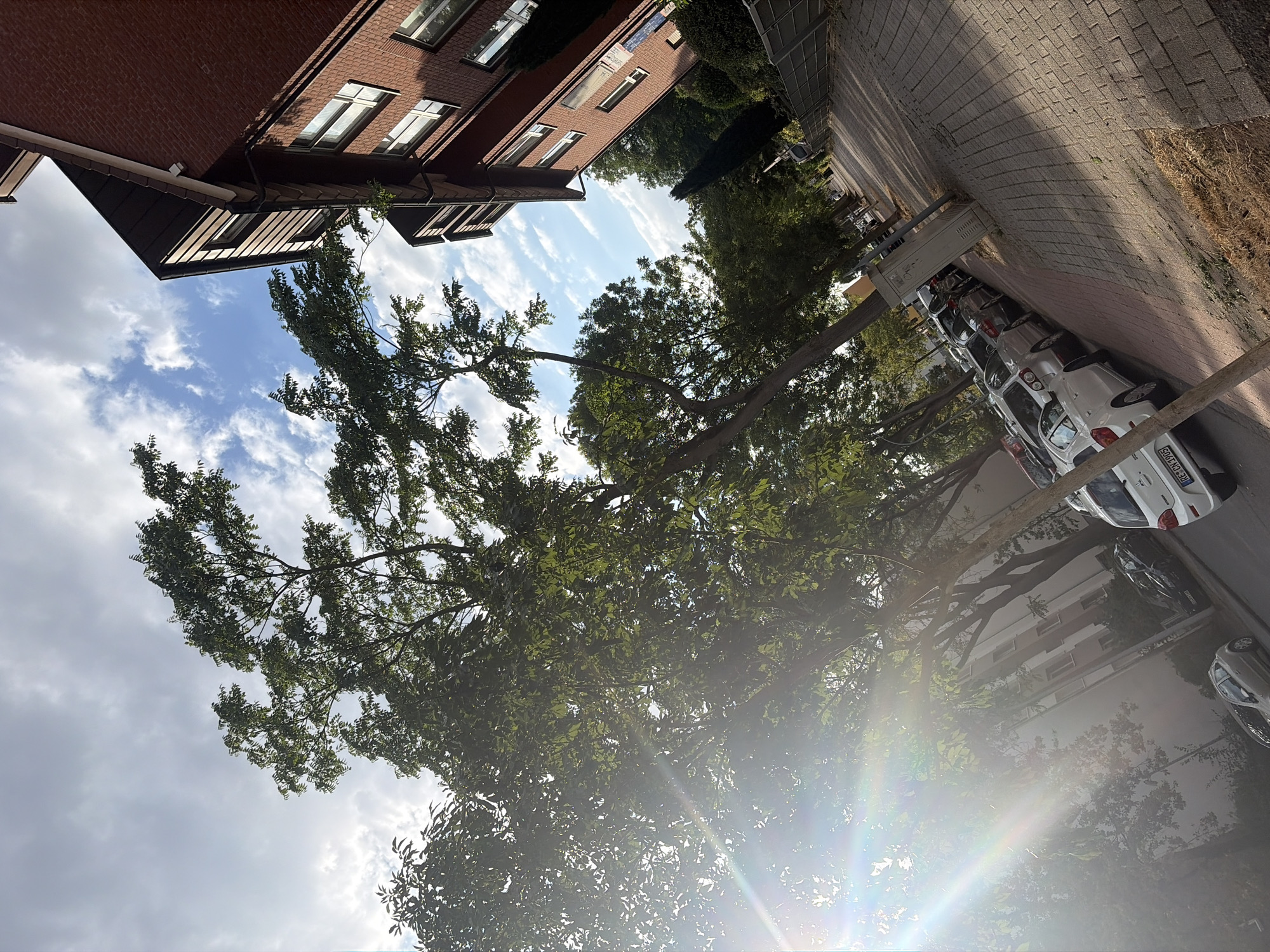 The image shows a street scene in Duisburg, Germany. A red brick apartment building is on the right side of the image, with several windows visible. In front of the building, a sidewalk paved with bricks runs along the street. A row of parked cars is visible on the left side of the street. Tall trees with green leaves line the street, some casting shadows on the sidewalk. The sky is blue with scattered white clouds, and the sun is shining brightly, creating lens flare. The perspective is from street level, looking down the street at an angle. The overall impression is a sunny day in a residential urban area.