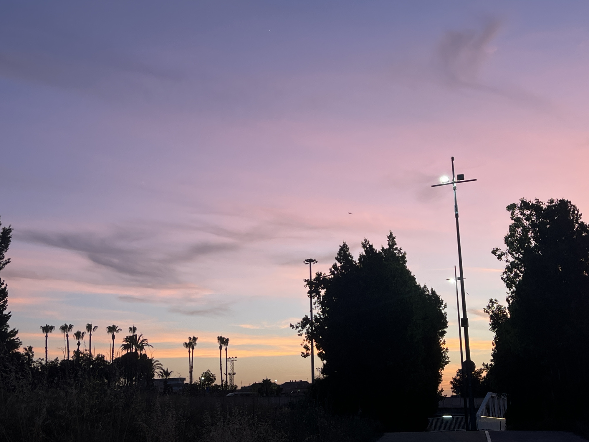 The image displays an outdoor scene in Alcàsser, Spain, at the transitional hour of dusk. The sky presents a gradient of colors, moving from a deep violet-blue in the upper left, through shades of lavender and pink across the mid-section, to streaks of orange and yellow along the lower horizon, particularly on the left, transitioning back to pink on the right. Scattered, dark grey, wispy clouds are visible across the sky. A small, faint white point, consistent with a star or planet, is located in the upper-mid left quadrant of the sky. A dark, small, airborne silhouette, suggestive of a bird or distant aircraft, is present in the mid-right sky.
The lower two-fifths of the image are dominated by dark, silhouetted vegetation. Numerous tall palm trees, exhibiting dark fronds, are prominent on the left and center-left, standing against the brighter horizon. Dense, dark conifer-like trees form solid masses on the far left, mid-right, and far right sides of the frame. The immediate foreground consists of indistinct, dark shrubbery and grasses.
Several artificial structures are discernible. A prominent pole with a bright white light fixture and a cross-shaped arm assembly stands in the mid-right portion of the frame. Another tall, slender pole with a visible light source is positioned further to the left. In the distant mid-ground, faint, dark outlines of low-rise buildings are visible. The bottom right corner reveals a dark paved surface, likely a road or path, with a partial white line. Adjacent to this, a white, angular structure, possibly a segment of a bridge or overpass, is partially visible, along with a dark fence or railing. No human figures are present, and no specific actions are depicted.