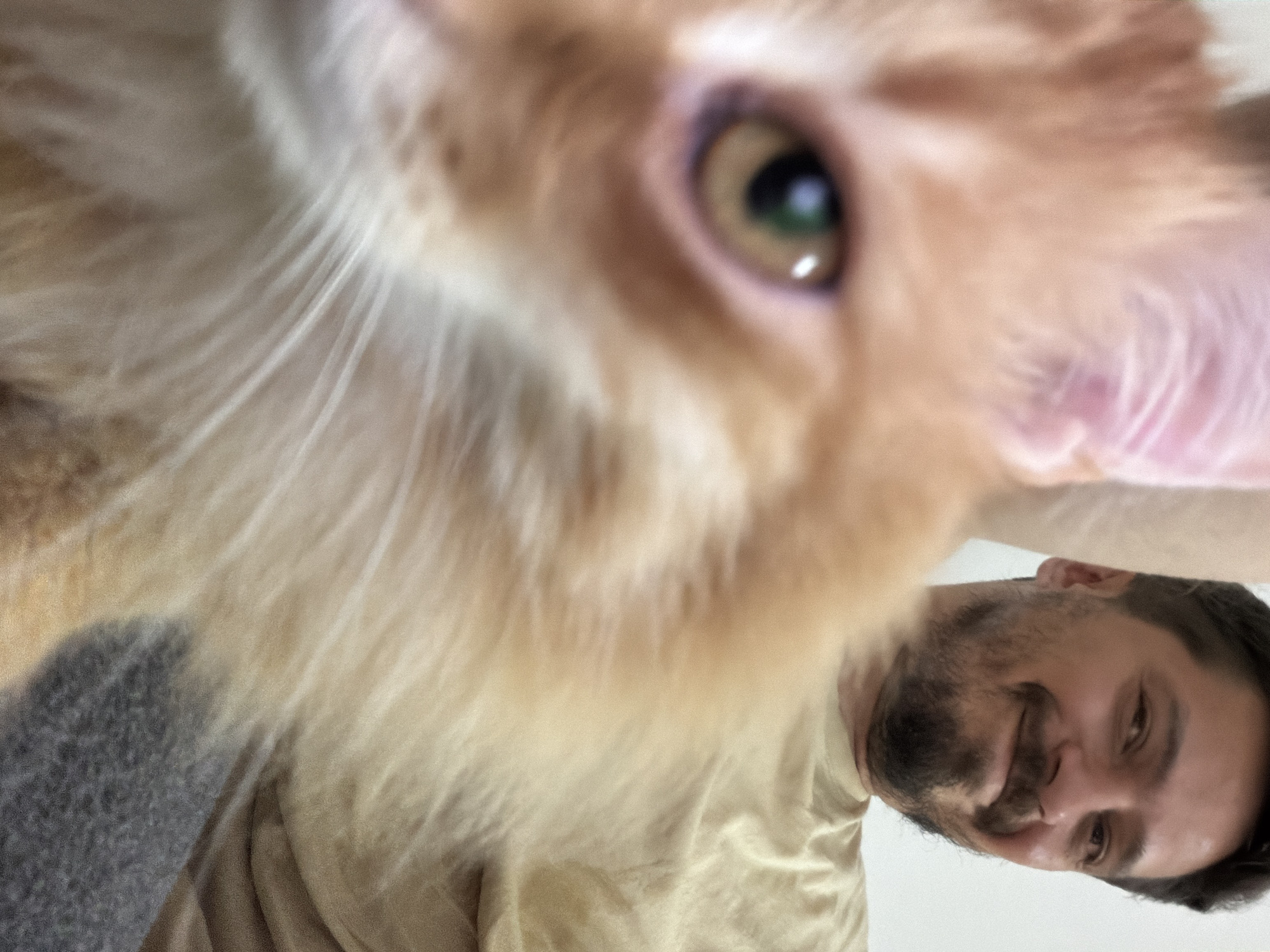 The image features an extreme close-up of an orange or ginger tabby cat's face, giving the impression of a "cat selfie." The cat's left eye, with its prominent green/amber iris, is clearly visible, surrounded by soft, light-colored fur and long white whiskers. The cat's face takes up the majority of the foreground, rendered with a shallow depth of field where some areas are intentionally blurred to emphasize the eye.
In the mid-ground, appearing upside down relative to the cat, is the smiling face of a man. He has dark hair and a beard, and his wide smile suggests a playful or affectionate interaction with the animal. He is wearing a light-colored, possibly tan or beige, t-shirt. A patch of grey, textured fabric, possibly a blanket or part of the man's clothing, is visible in the lower-left corner. The background behind the man is a plain, light color, indicative of an indoor setting. The overall scene conveys a lighthearted and endearing moment between the cat and the man, likely captured in Zvezdara Urban Municipality, Serbia. No text is visible in the image.