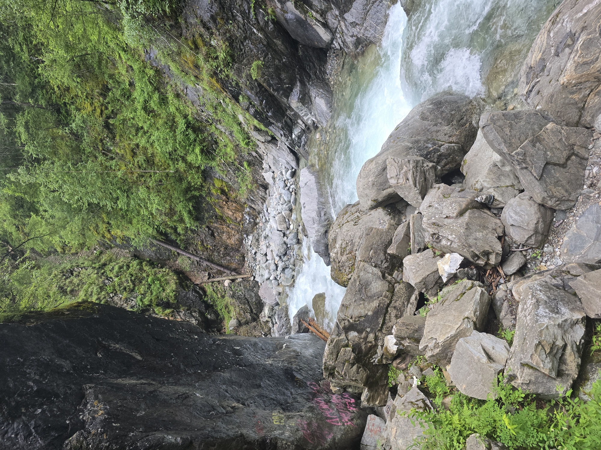 An image depicts a natural scene within a gorge. A body of water, appearing to be a river with clear, turquoise-tinted water, flows through the center of the frame. The river is characterized by visible currents and rapids, indicated by white foam. The riverbanks and the gorge walls are composed of large, gray rocks of varying sizes, with some smaller stones and gravel visible along the water's edge. Lush green vegetation, including small trees, bushes, and moss, grows on the rocky slopes and along the edges of the water. A large, dark rock formation, possibly a cliff face, dominates the left side of the image. This rock has some graffiti in pink and yellow spray paint on its surface. A fallen tree trunk is lodged in the river near the center. The overall environment suggests a wild and rugged natural landscape.