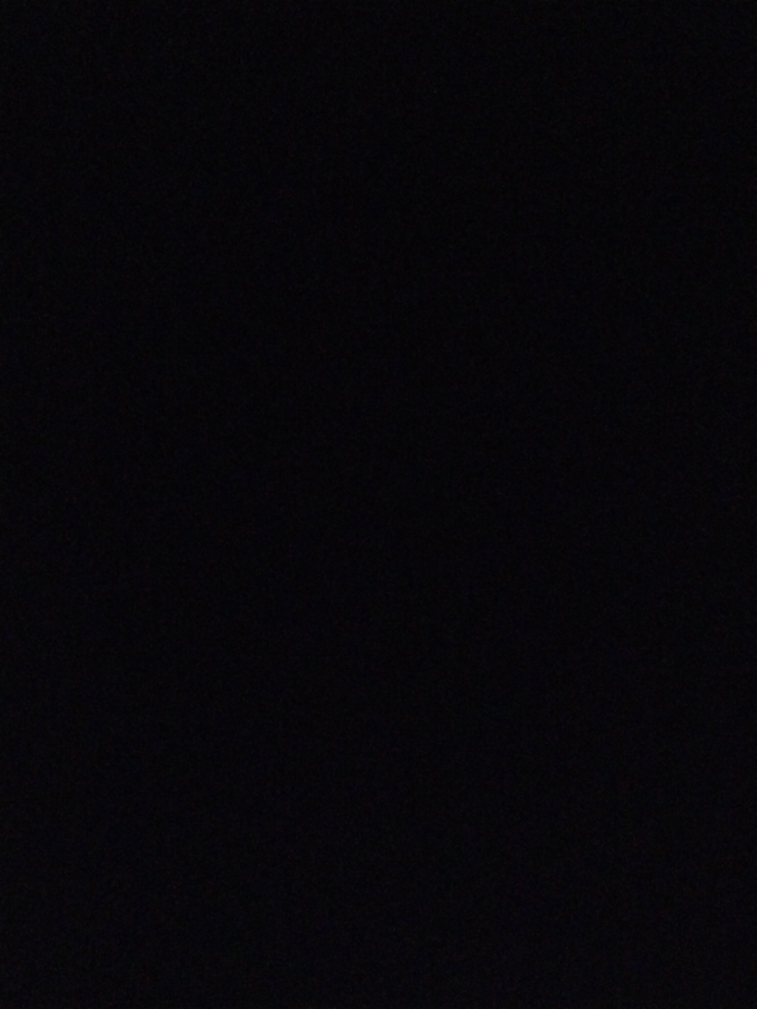 The image is completely black. It provides no information about a location, city, people, subjects, objects, actions, interactions, or the environment.