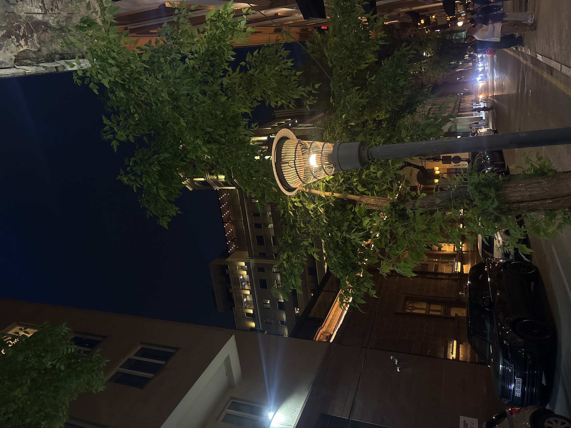 The image, taken at night in Yerevan, Armenia, showcases an urban street scene. A lit street lamp with a cage-like lampshade stands prominently amidst foliage, likely a tree. To the left, a building of a light color with rectangular windows rises, while in the distance, a taller, multi-story building with numerous illuminated windows can be seen. On the right, a dark-colored building and parked cars line the street, with at least one vehicle partially visible. In the background, the street stretches into the distance with more lights and what appears to be people walking. The composition is captured from a low angle, emphasizing the height of the buildings and the street lamp.