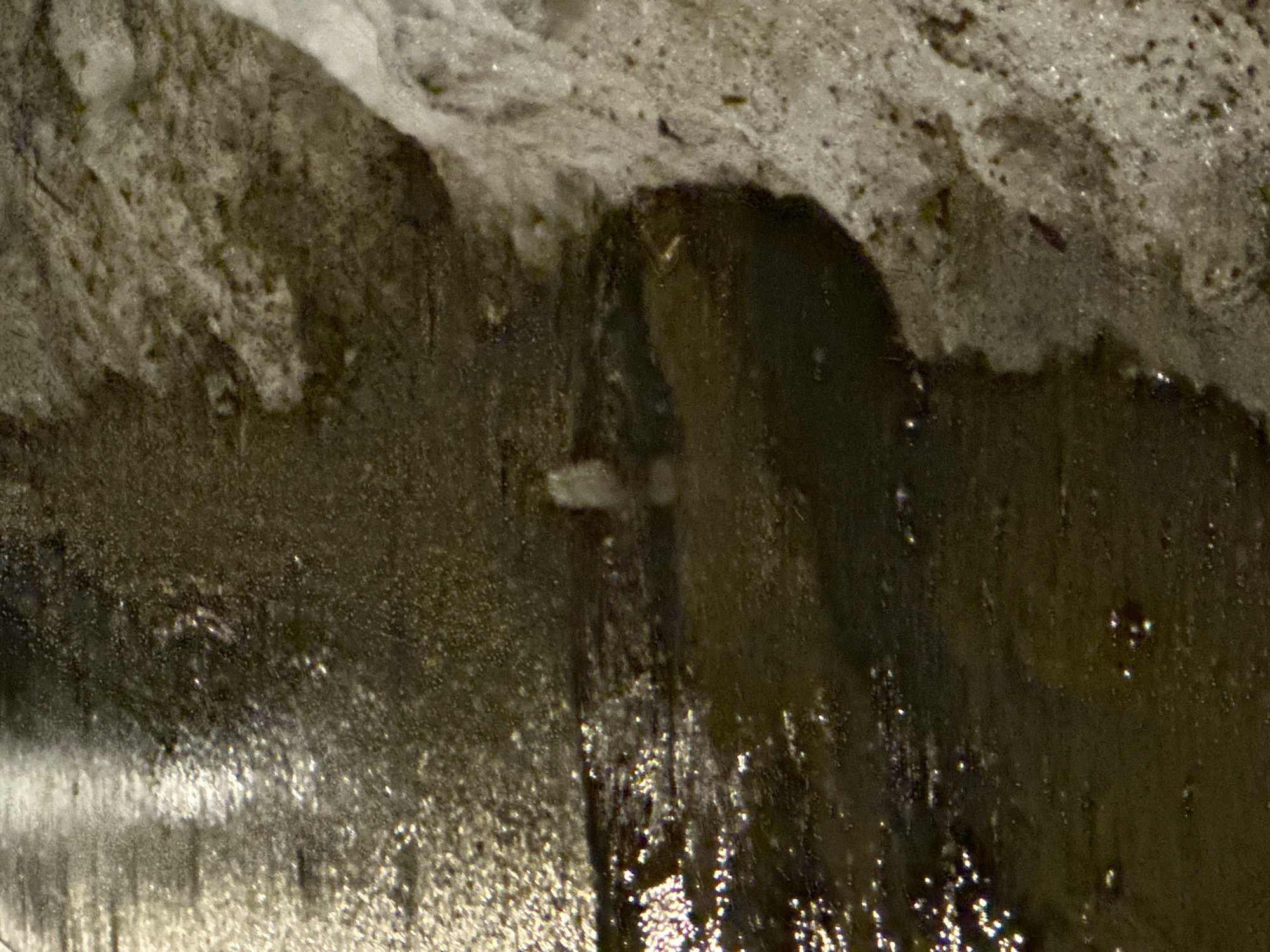 A close-up shot depicts a stone wall, likely part of an underground structure, possibly in Moscow, Russia. Water or a similar liquid is flowing or has recently flowed down the surface of the wall, creating a wet, reflective appearance. The texture of the wall is uneven and rough, with a mixture of light and dark tones due to the moisture and lighting conditions. The light catches the wet areas, creating highlights and reflections.