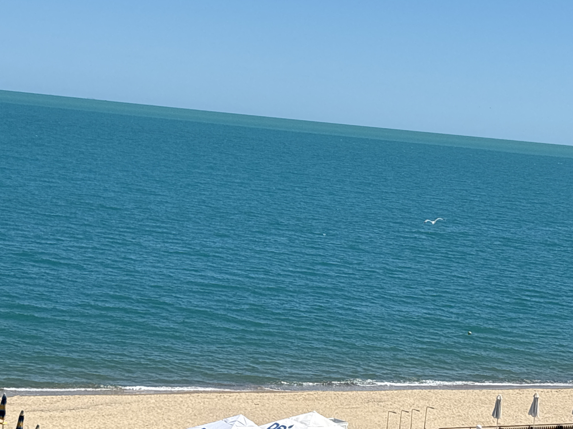 A serene, high-angle view of the Black Sea coast at Varna, Bulgaria. The image captures a vast expanse of calm, turquoise water meeting a sandy beach under a clear, pale blue sky. The horizon line is sharp and distinct, with the sea appearing to stretch infinitely. A single white seagull is visible in flight over the water. On the sandy shore, a few beach umbrellas and lounge chairs are arranged, suggesting a typical beach resort setting. The overall atmosphere is tranquil and bathed in bright daylight.