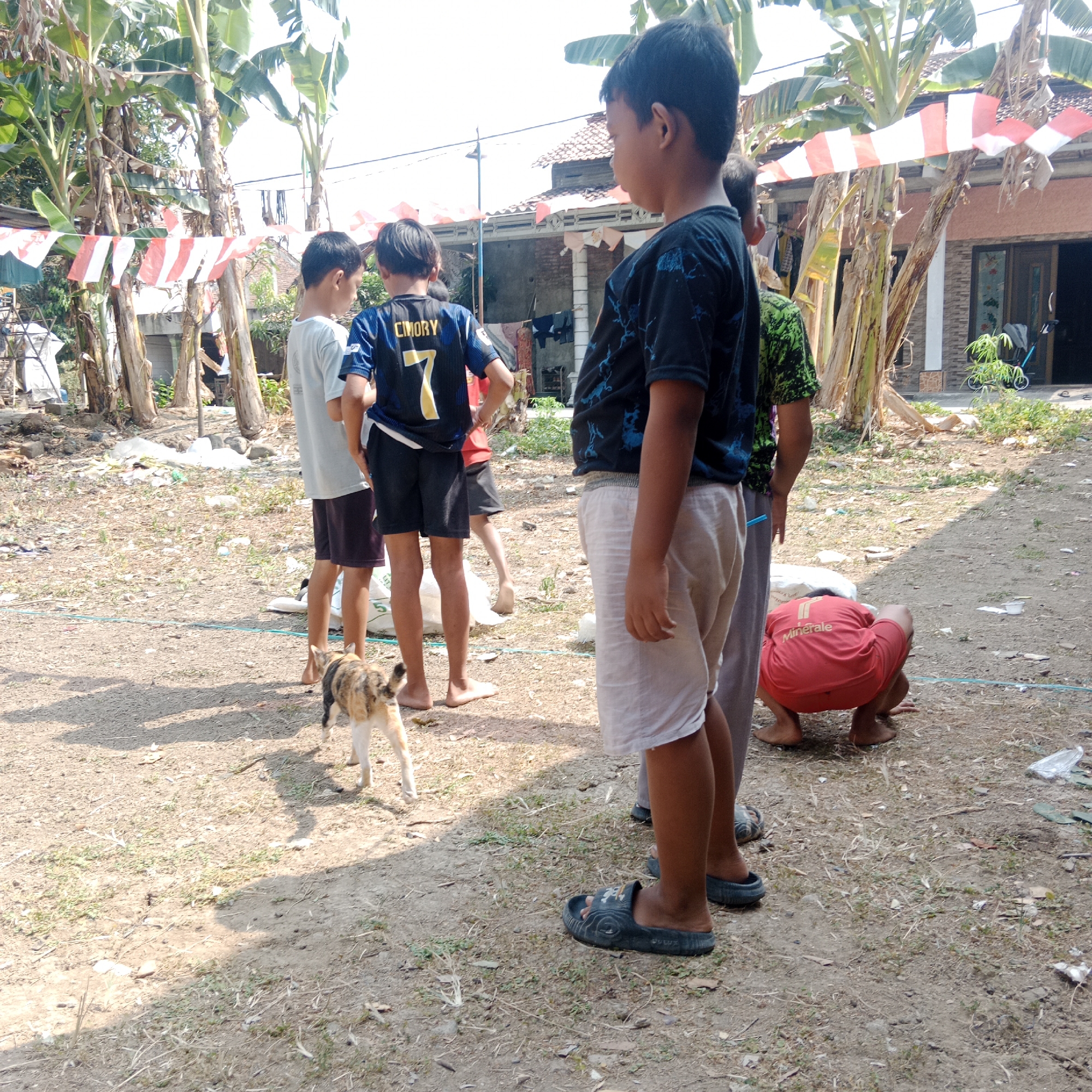 In Tegowanu Kulon, Indonesia, a group of children are gathered outdoors on a dirt ground. The scene is characterized by natural elements and signs of human activity. Towering banana trees with large green leaves dominate the background, interspersed with houses featuring tiled roofs. Red and white Indonesian flags are strung between the trees, suggesting a national celebration or event.
Several boys are present, their ages appearing to range from roughly seven to twelve years old. One boy, wearing a dark blue t-shirt with a graphic print and white shorts, stands facing right, his profile visible. Another boy, in a blue and yellow soccer jersey with the number "7" and "CMORY" printed on the back, stands facing left. Next to him, a boy in a light blue t-shirt and dark shorts faces away from the camera. A fourth boy, wearing a green and black patterned shirt, is partially visible on the left. A fifth boy, dressed in a red t-shirt and shorts, is crouched low to the ground on the right side of the frame.
A calico cat is walking on the dirt ground towards the left, its tail held high. Scattered across the ground are various objects, including plastic bags, some white sacks, and dried vegetation. The overall environment appears to be a communal outdoor space, possibly a yard or a village common area, given the presence of houses, natural vegetation, and the casual gathering of children. The lighting suggests it is daytime, with sunlight casting shadows on the ground.