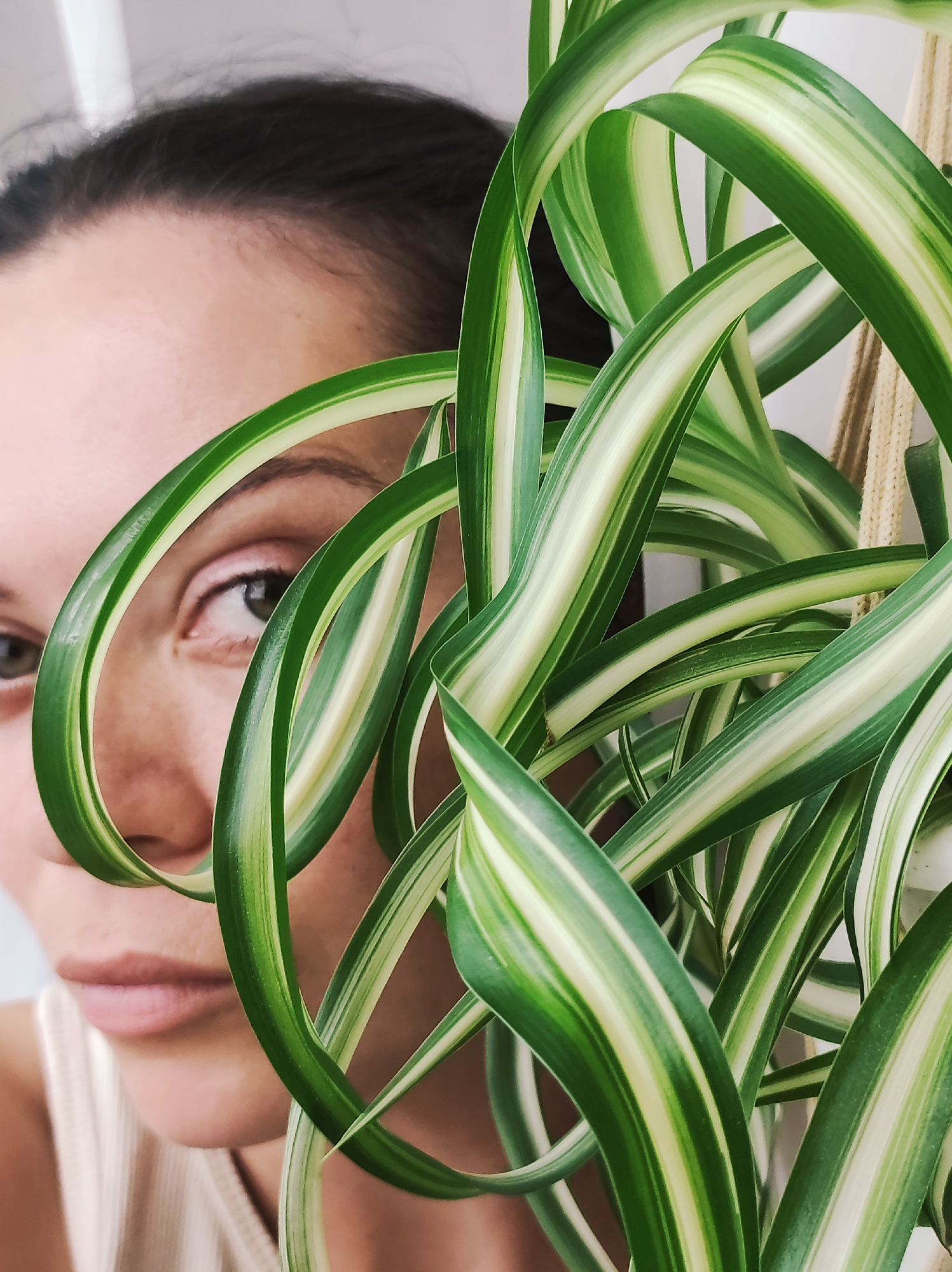 The image is a close-up shot of a woman's face partially obscured by the leaves of a spider plant. The woman has dark hair pulled back from her face, and her left eye is visible, looking towards the camera. Her lips are also visible. The spider plant's leaves are variegated with green and white stripes and are arching around her face. The background is a plain, light-colored wall. There is no indication of the city of Chaikovsky, Russia, or any other specific location.