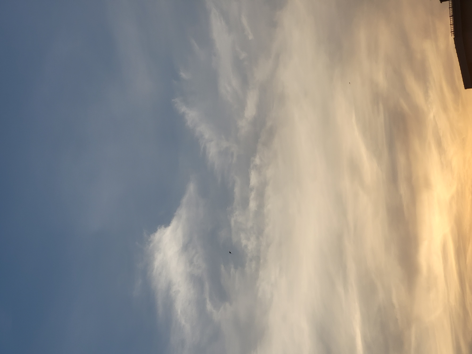 An aerial photograph captures a view of the sky during the day. The sky is a gradient of colors, with a darker blue at the top transitioning to lighter shades of blue and then a warm yellow or orange hue towards the bottom. Wispy clouds are scattered across the sky, with some appearing denser and darker, while others are thin and translucent. In the mid-ground, a single bird is visible, appearing as a small dark silhouette against the clouds. Towards the bottom right of the image, the top of a building is visible, with a dark roofline and railings. The location is identified as Unknown, Unknown.