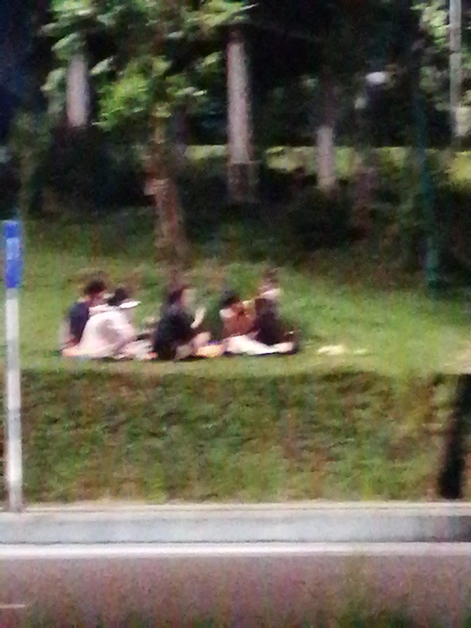 A blurry image depicts a group of at least four people sitting on a grassy slope, likely having a picnic. The individuals are positioned on a blanket or mat of some kind. The scene appears to be a park or grassy area, with trees and foliage visible in the background. A blue signpost stands to the left of the group. A concrete curb and road are in the foreground. It is difficult to provide the exact location in Da Lat based on this image.