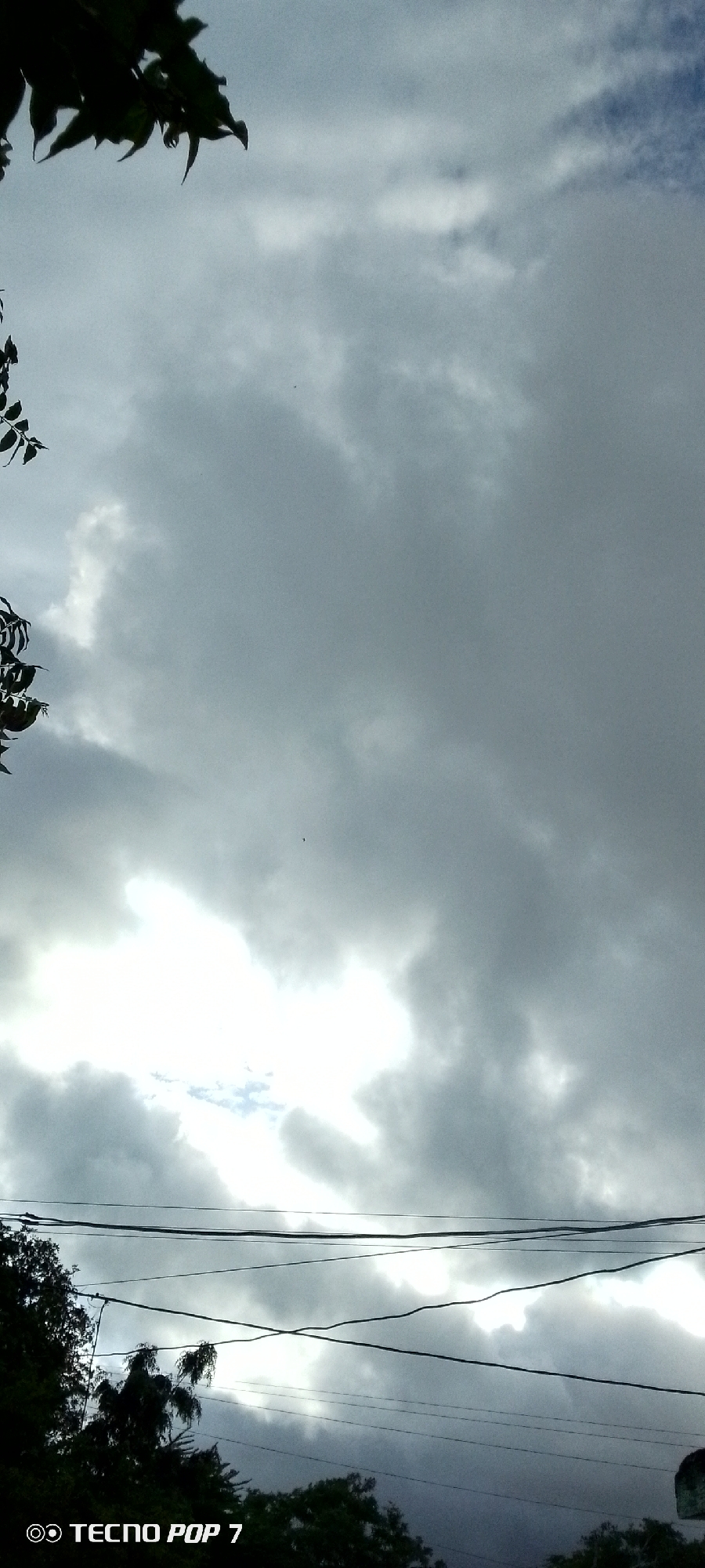 The image shows a cloudy sky with a bright patch of sunlight breaking through. In the foreground, silhouetted against the sky, are tree branches on the left and power lines stretching horizontally across the frame. The bottom of the image also shows the dark outlines of trees. A watermark at the bottom left corner reads "TECNO POP 7". The overall scene is likely taken from a ground-level perspective looking upwards. The location is specified as Altagracia, Venezuela, though the image itself does not contain any specific visual cues to confirm this.