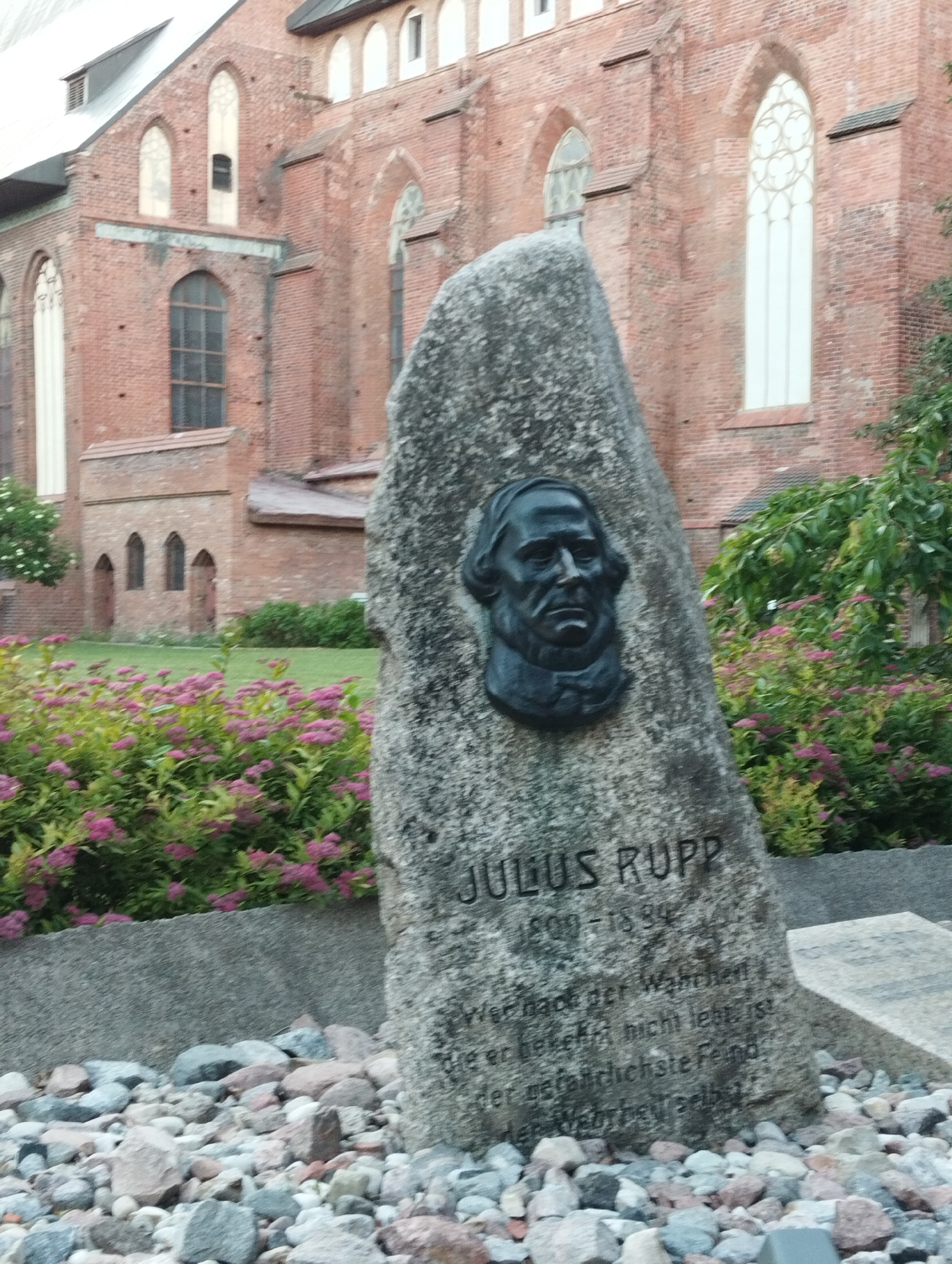 A monument, featuring a bas-relief portrait of a man with a beard and dark hair, stands in front of a brick building. The man's face is stoic, and he is wearing a suit. The monument is made of rough-hewn gray stone and has an inscription in German. The inscription reads "JULIUS RUPP 1809-1894". Below the name, there is a German quote which translates to "He who has seen the truth, and hides it, is the most dangerous enemy of mankind." The monument is surrounded by colorful pink flowers and rocks. The brick building in the background appears to be a church or a cathedral, with arched windows and a steeply pitched roof. The building is made of red bricks and shows signs of age. The scene is set in the city of Kaliningrad, Russia, specifically in the region of the former Königsberg Castle, now known as the Dom Cathedral.