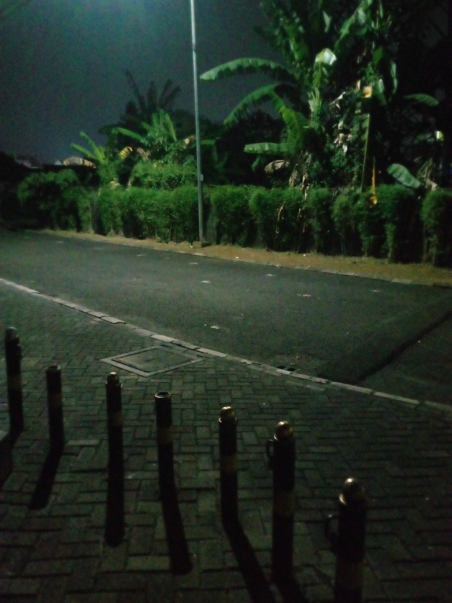 A nighttime exterior scene depicts a paved road with a brick walkway and bollards. A dense hedge of green shrubs lines the far side of the road, beyond which are visible large, leafy trees, possibly banana trees, and what appears to be a building. A street light pole stands to the right of the frame, casting light on the scene. The walkway has a manhole cover embedded within it. The image is grainy and dimly lit, typical of nighttime photography. The location is identified as Bitung Jaya, Indonesia.