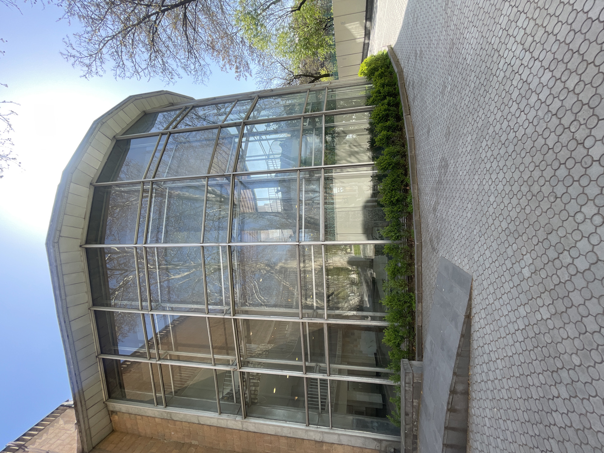 The image presents the exterior of a modern building under bright, clear skies. The building features a prominent multi-story glass facade, constructed from numerous rectangular panels set within a grid of light-colored metal frames. Above the glass, the roof displays a distinctive, gently curved profile, clad in light grey panels. A darker brick base supports the lower section of the glass structure.
The extensive glass surfaces brilliantly reflect the surrounding environment, including a bright blue sky, the strong sun causing a glare in the upper left, and the intricate network of bare branches from nearby deciduous trees, suggesting late winter or early spring. Some reflections also hint at nascent green foliage. Through the transparent glass, interior architectural elements like staircases and structural columns are partially visible.
Along the base of the glass facade, a neat row of vibrant green, manicured bushes lines the building. To the right, a wide, light grey paved walkway extends into the distance. The pavers are intricately designed with a repeating pattern of dark grey circles set within larger hexagonal or octagonal shapes. A dark grey paved ramp or pathway, distinct from the patterned walkway, leads away from the building's corner.
The scene is devoid of people or specific activities. The bright sunlight indicates a midday or early afternoon setting. There is no visible text. The overall impression is a serene architectural landscape, characteristic of a modern urban or campus environment, situated in Yerevan, Armenia.