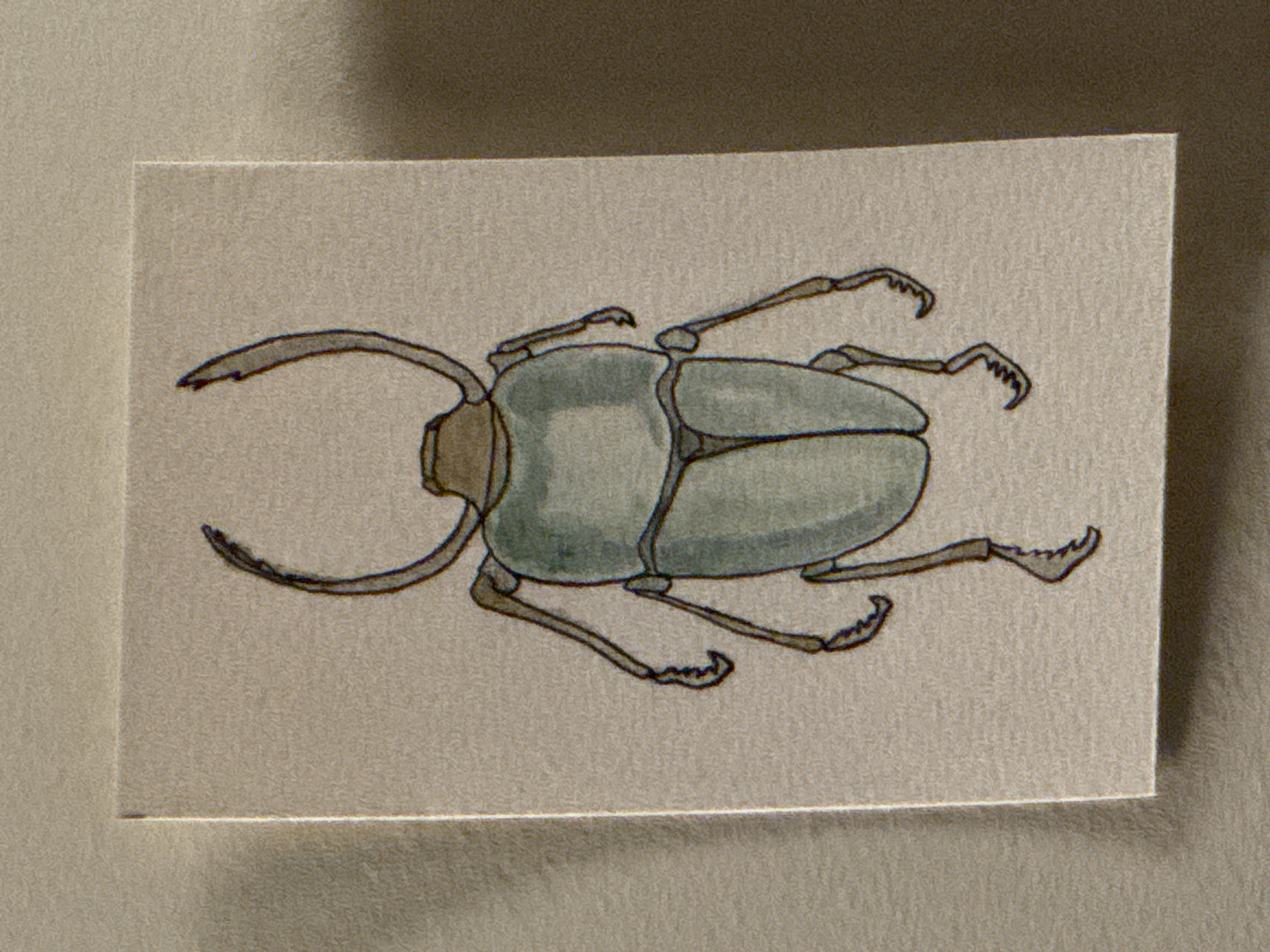 The image shows a drawing of a stag beetle on a piece of textured paper. The beetle is depicted with its prominent mandibles, head, and body. The drawing is done in muted colors with black outlines. The paper on which the beetle is drawn is beige in color, sitting on a similarly colored surface with slight variations in shading, suggesting a neutral-lit environment. There is no indication of the location being Moscow, Russia, or any other city. The image consists solely of the drawing of a beetle.