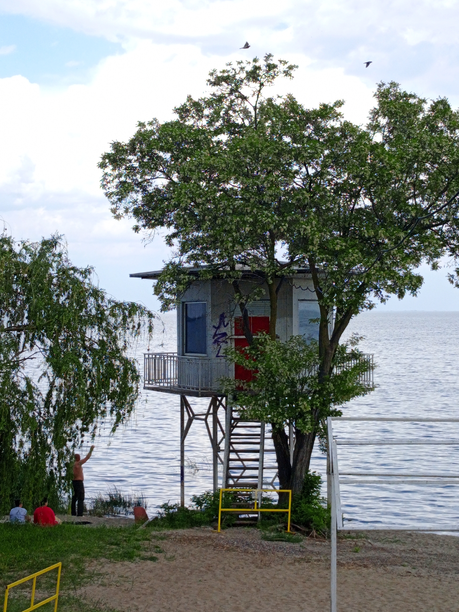 Here's a detailed description of the image:
The image captures a lakeside scene with a peculiar structure resembling a cabin built around a tree. This cabin stands on stilts over the water, accessible by a set of stairs. It has a red door and a small balcony enclosed by railings. The cabin is surrounded and partially obscured by the branches of a large tree, which is in full bloom with white flowers.
To the left of the cabin, on the shoreline, there are three individuals. One of them is standing shirtless, with his arm raised towards the tree's branches. The other two are seated nearby, resting on the grassy area.
The setting appears to be a beach, with sand and grass merging along the water's edge. A yellow metal barrier is partially visible in the foreground, and a white, horizontal bar fence runs along the lake. The lake itself is calm, and its surface reflects the sky above. The sky is partly cloudy, suggesting a bright but overcast day. Two birds are visible in flight in the sky above the tree.
The image suggests a peaceful, perhaps recreational, area where people are enjoying the lakeside environment.