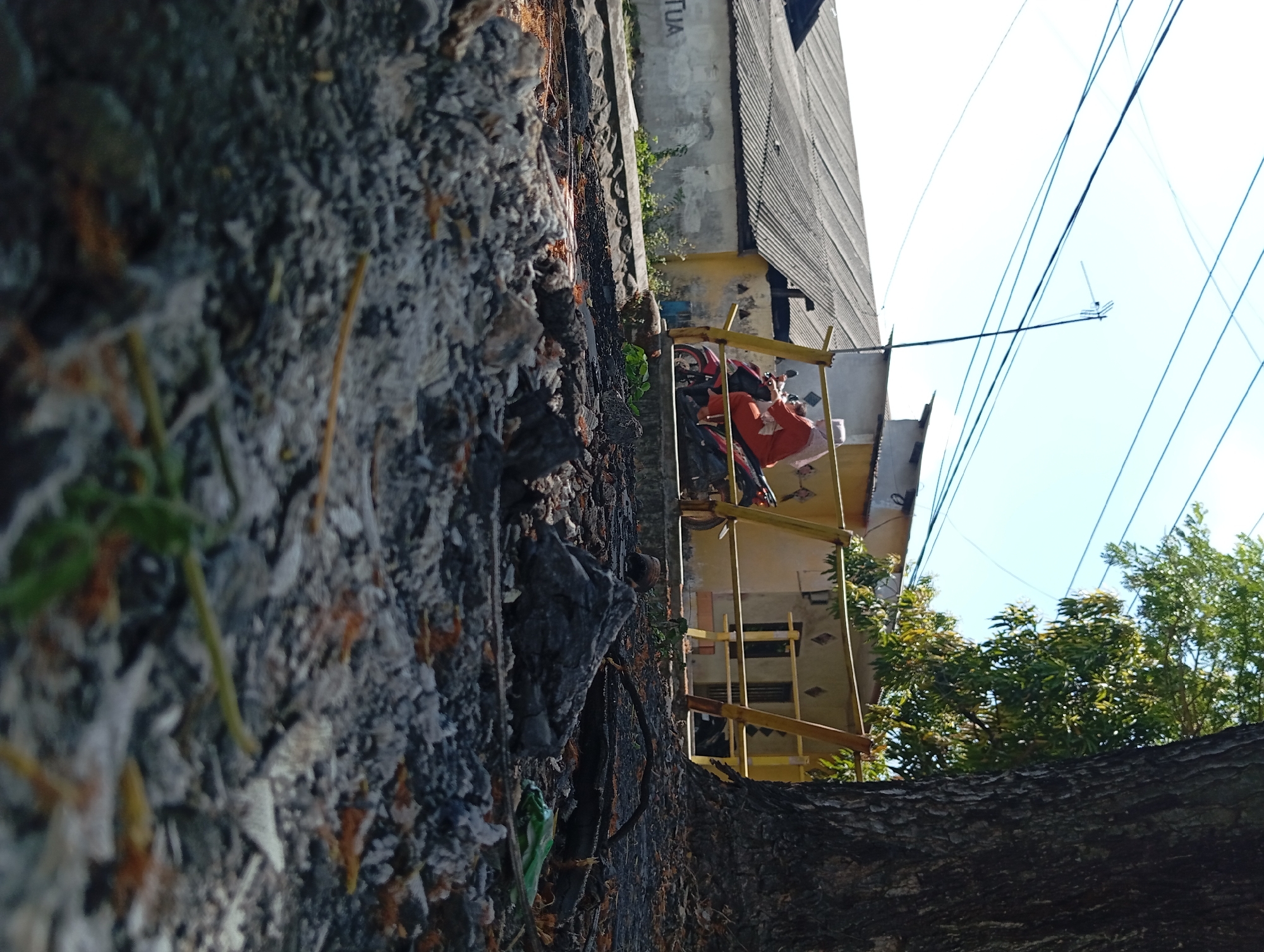 The image depicts a street scene in Karangrejo, Indonesia. In the foreground, the ground is covered in a layer of ash and debris, with a large tree trunk on the right side of the frame. In the midground, a person wearing an orange outfit is riding a red motorcycle. Behind the motorcycle, there is a yellow fence and a building with a corrugated metal roof. The background shows a clear blue sky with power lines stretching across it. The overall scene suggests an outdoor environment, possibly after an event involving fire or debris.