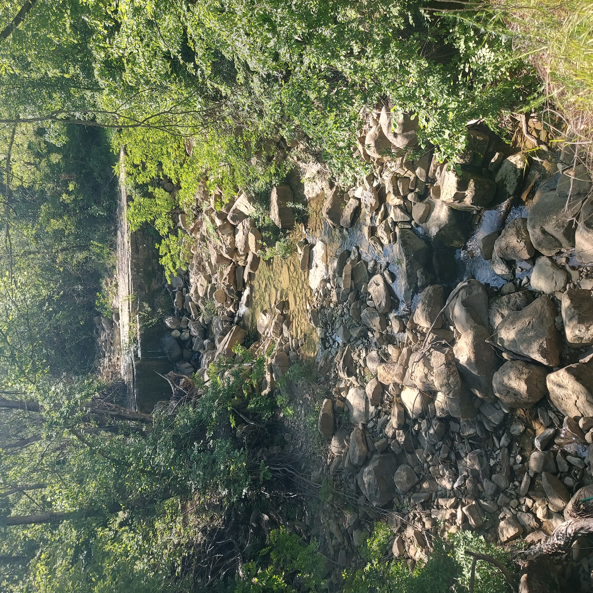 The image shows a rocky creek bed in a forested area, possibly near Kesarevo, Bulgaria. The creek is mostly dry with shallow pools of water visible between the rocks. The banks of the creek are lined with dense vegetation, including trees and shrubs. At one end of the image is a man-made stone wall. There is no visible human presence.