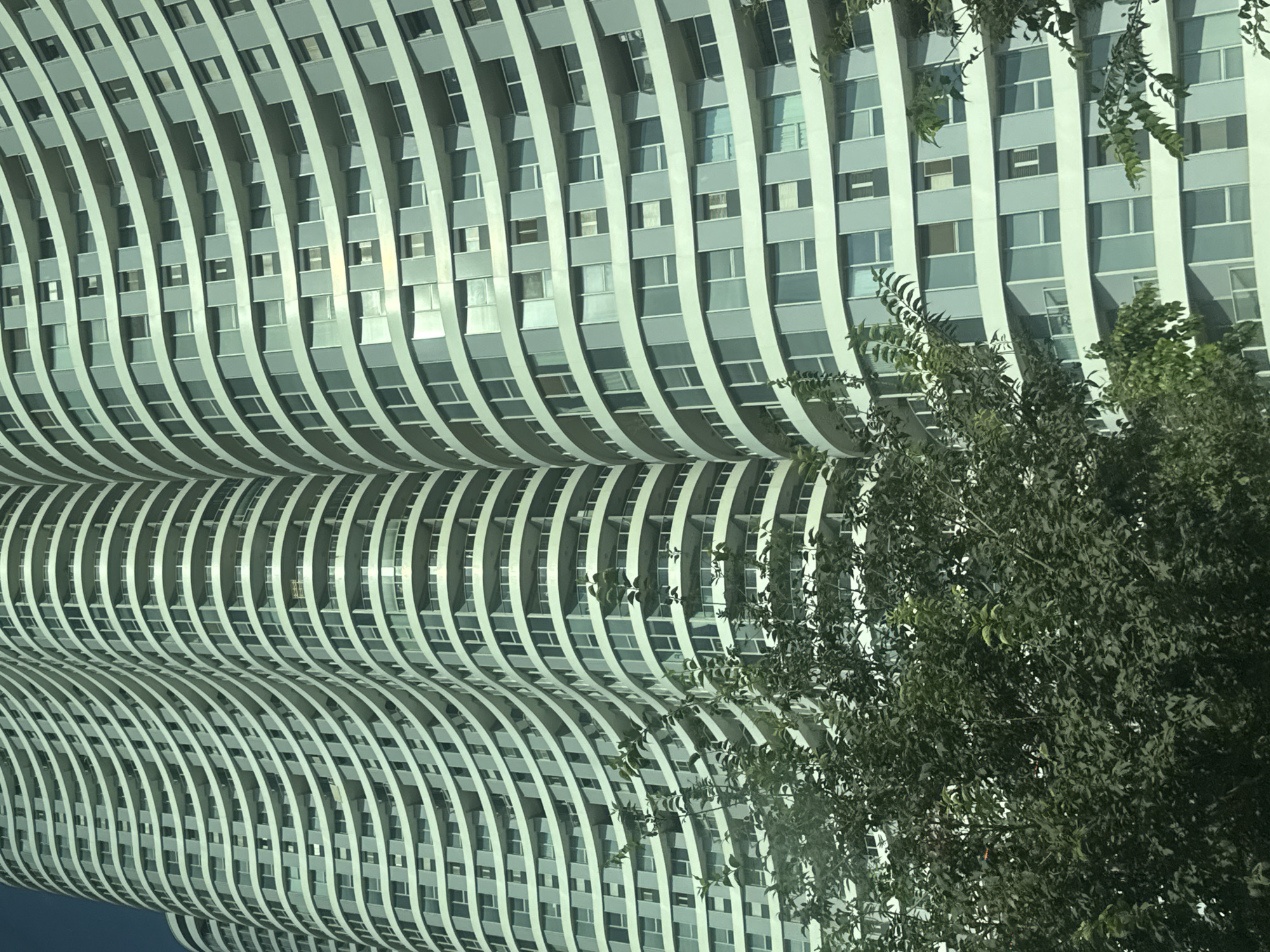The image shows a close-up of the exterior of the W Tower, a residential skyscraper located in Tel Aviv, Israel. The tower's distinctive design features curved balconies and a facade of blue-tinted windows. Lush green trees partially obscure the lower floors of the building, suggesting the photograph was taken from a street-level perspective, possibly from a nearby park or garden. The sky above is a clear, bright blue, indicating a sunny day. The overall impression is one of modern urban architecture set against a natural backdrop.