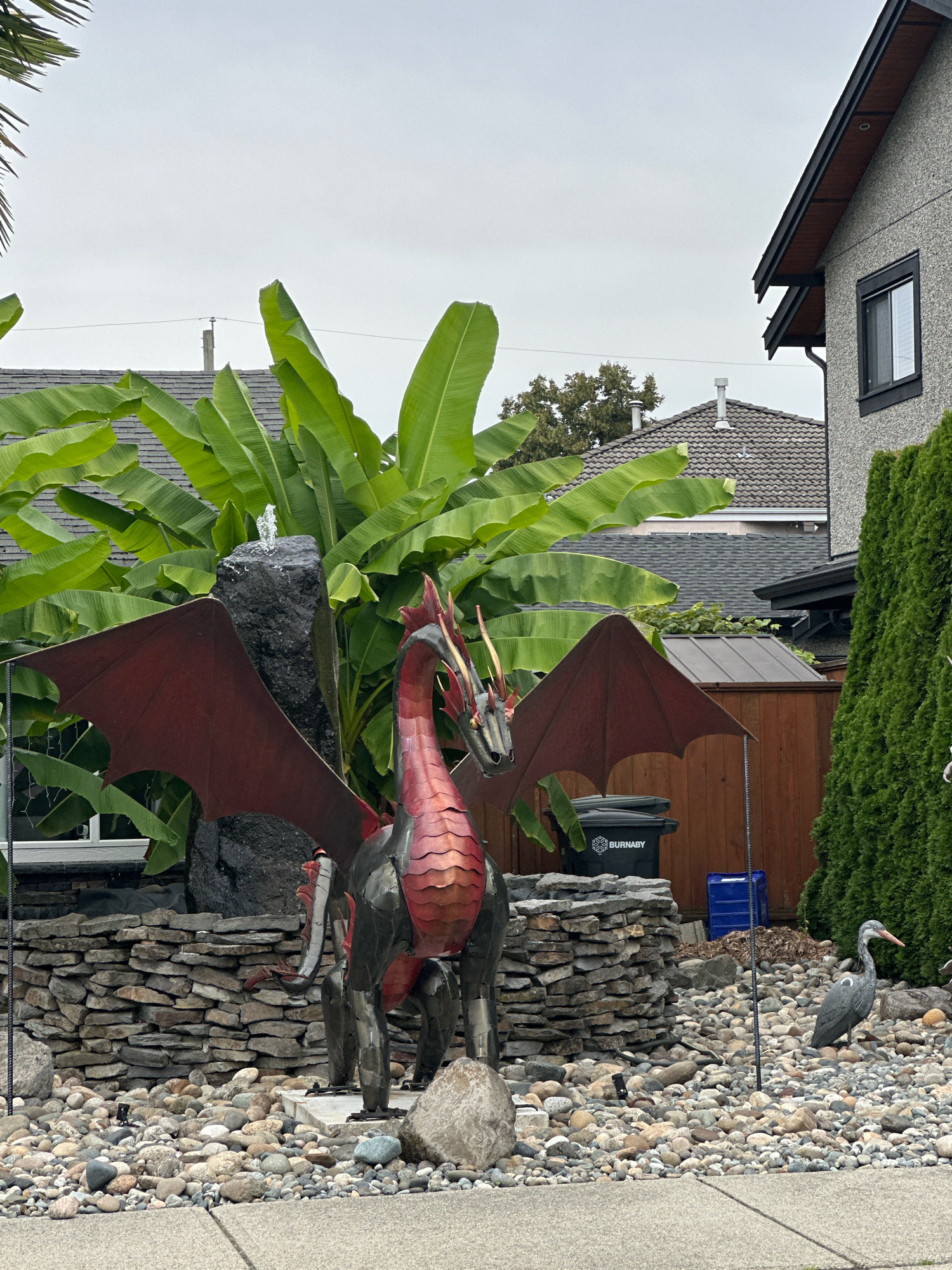 The image depicts a residential yard in Burnaby, Canada, with a dragon statue as the central focus. The dragon is predominantly red and metallic grey, with large red wings spread open. It stands on a stone wall, behind which are large green banana leaves and a rock feature with a small fountain. In front of the stone wall, the ground is covered with various sizes of rocks and pebbles.
To the right of the dragon, a grey bird statue is positioned amongst the rocks. Behind the dragon and stone wall, a wooden fence encloses the yard, with a black garbage bin labeled "BURNABY" and a blue plastic container visible. A tall, dense green hedge stands to the right of the fence. The background shows the roofs of houses and the overcast sky. A section of a grey stucco house with a dark-framed window is visible on the far right of the frame. The foreground shows a concrete sidewalk.
