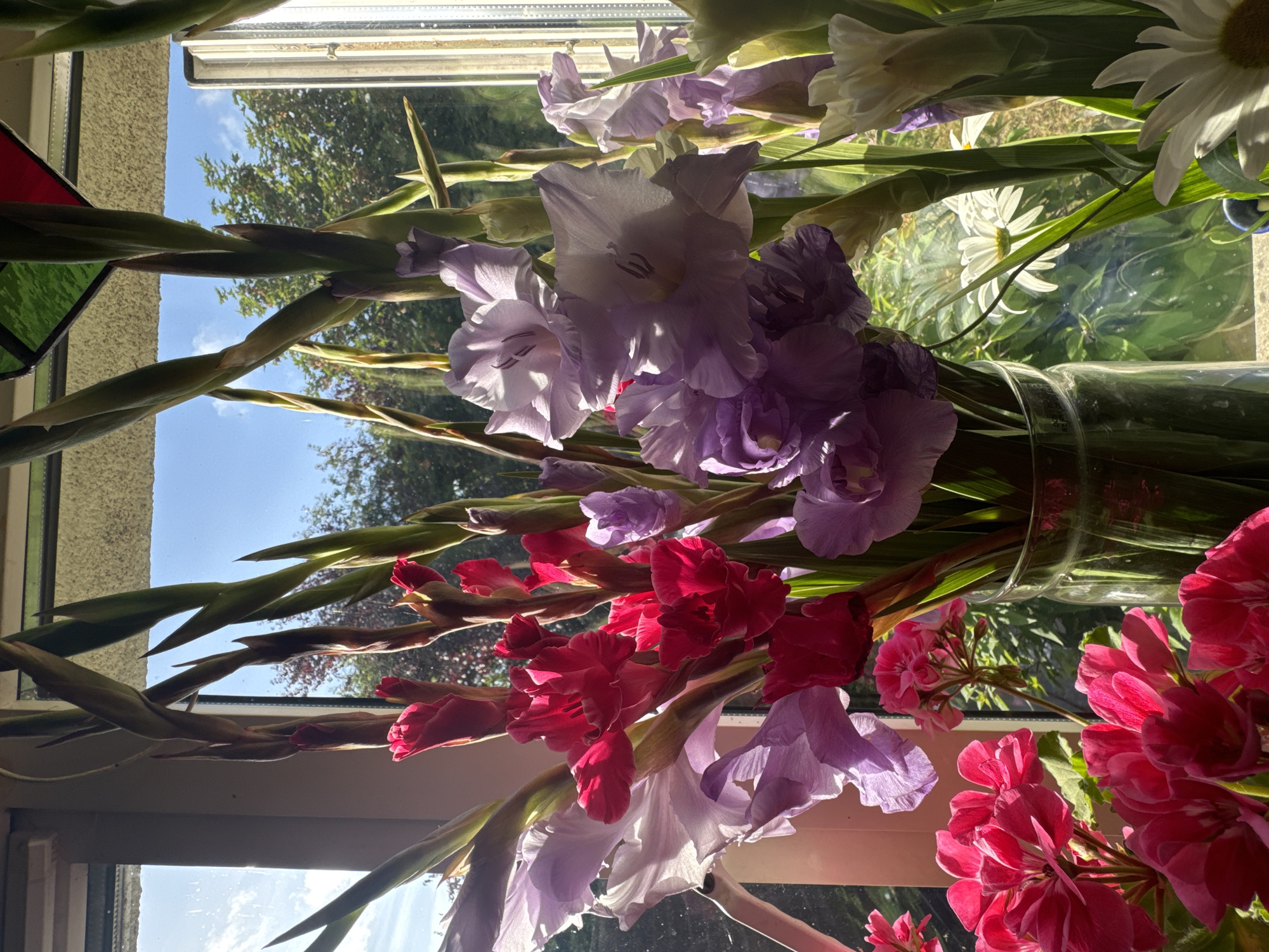 A close-up, eye-level shot captures a bouquet of gladioli in various shades of pink and lavender, arranged in a clear glass vase. The flowers are positioned in front of a window, with sunlight streaming through, illuminating the translucent petals. Behind the gladioli, a few white daisies are visible, their petals catching the light. The background beyond the window shows a blurred view of green trees under a blue sky with scattered clouds. The setting appears to be indoors, likely a domestic environment in Waterford, Ireland.