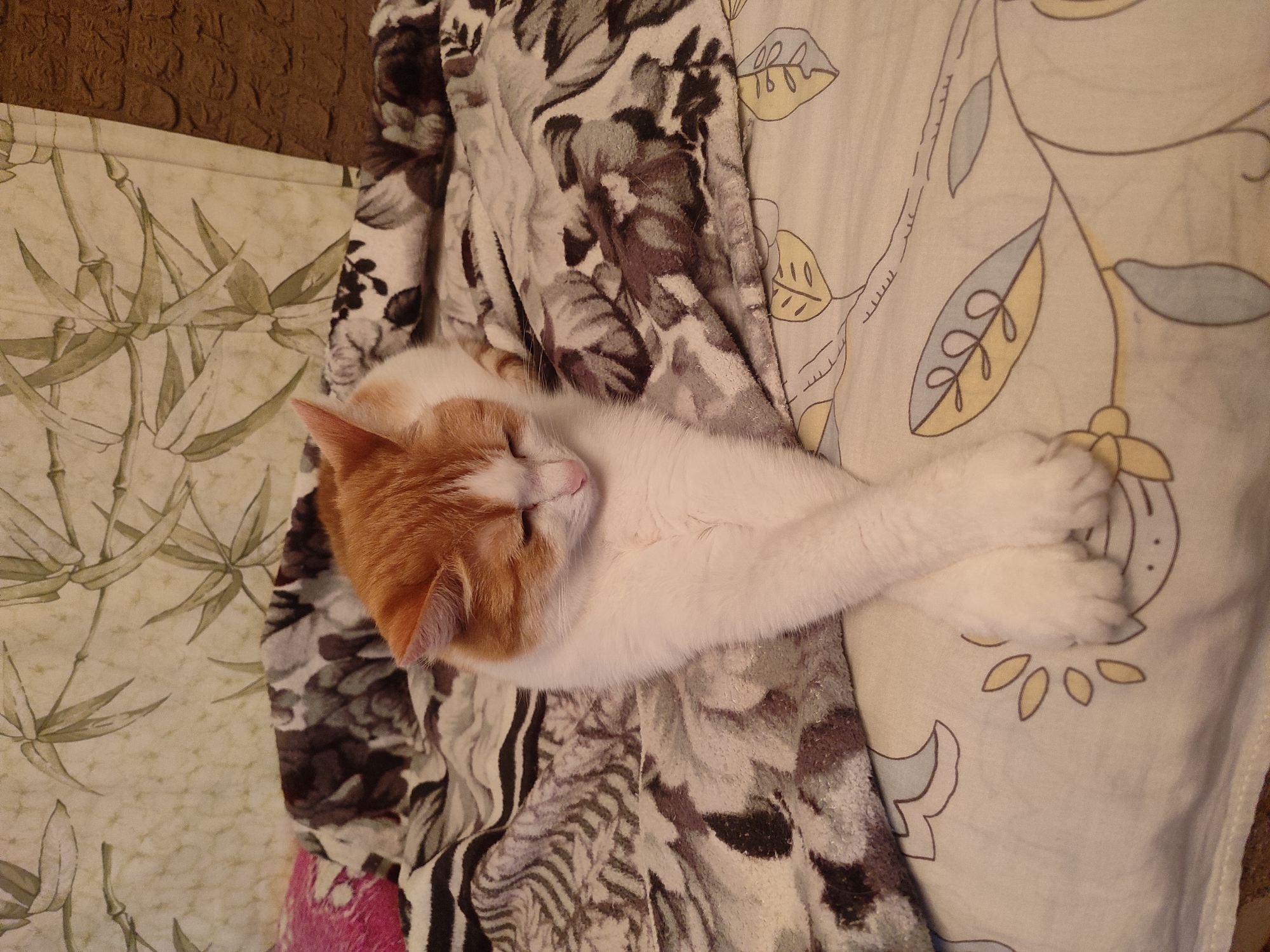 In a domestic indoor setting, an orange and white cat rests on a bed covered with a patterned blanket. The cat is lying on its side, with its front paws crossed and tucked underneath its chin. Its eyes are closed, suggesting it is asleep or resting. The blanket beneath the cat features a dark grey and white abstract design, with the floral pattern of the sheet visible underneath. In the background, a wall with a light beige wallpaper displaying a bamboo leaf motif can be seen. To the right, a portion of a textured brown surface is visible. The image was taken at an eye-level perspective, highlighting the tranquil scene of the feline at rest. The specific location within Naberezhnye Chelny, Russia, is not discernible from the visual information provided.