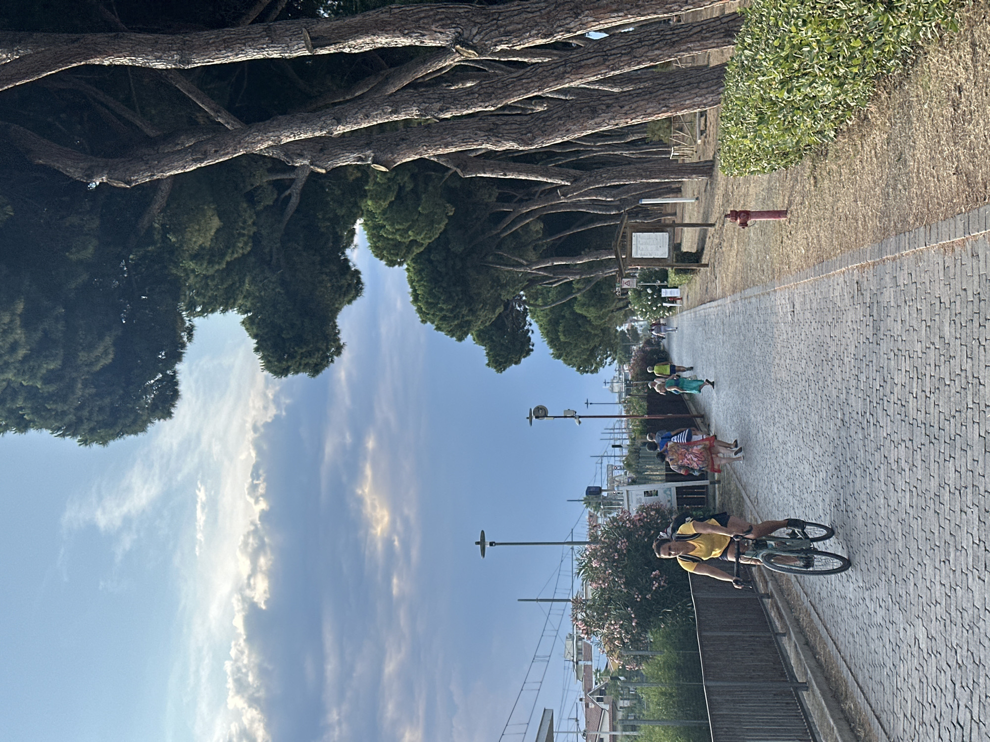 The image depicts a paved pedestrian and cyclist path lined with tall, mature pine trees on the right and a metal fence with vegetation beyond on the left. A woman wearing a yellow shirt and black shorts is cycling towards the viewer on the path. Several other people are walking in the distance, some with colorful clothing. The path leads into the distance towards buildings and overhead wires. A red fire hydrant is visible on the grassy area to the right of the path, near a wooden informational sign. The sky above is partly cloudy with a mix of blue and gray clouds. The scene suggests a public promenade or park area, potentially near the coast given the vegetation and open sky. This path is located along the Lungomare in Pineto, Italy.