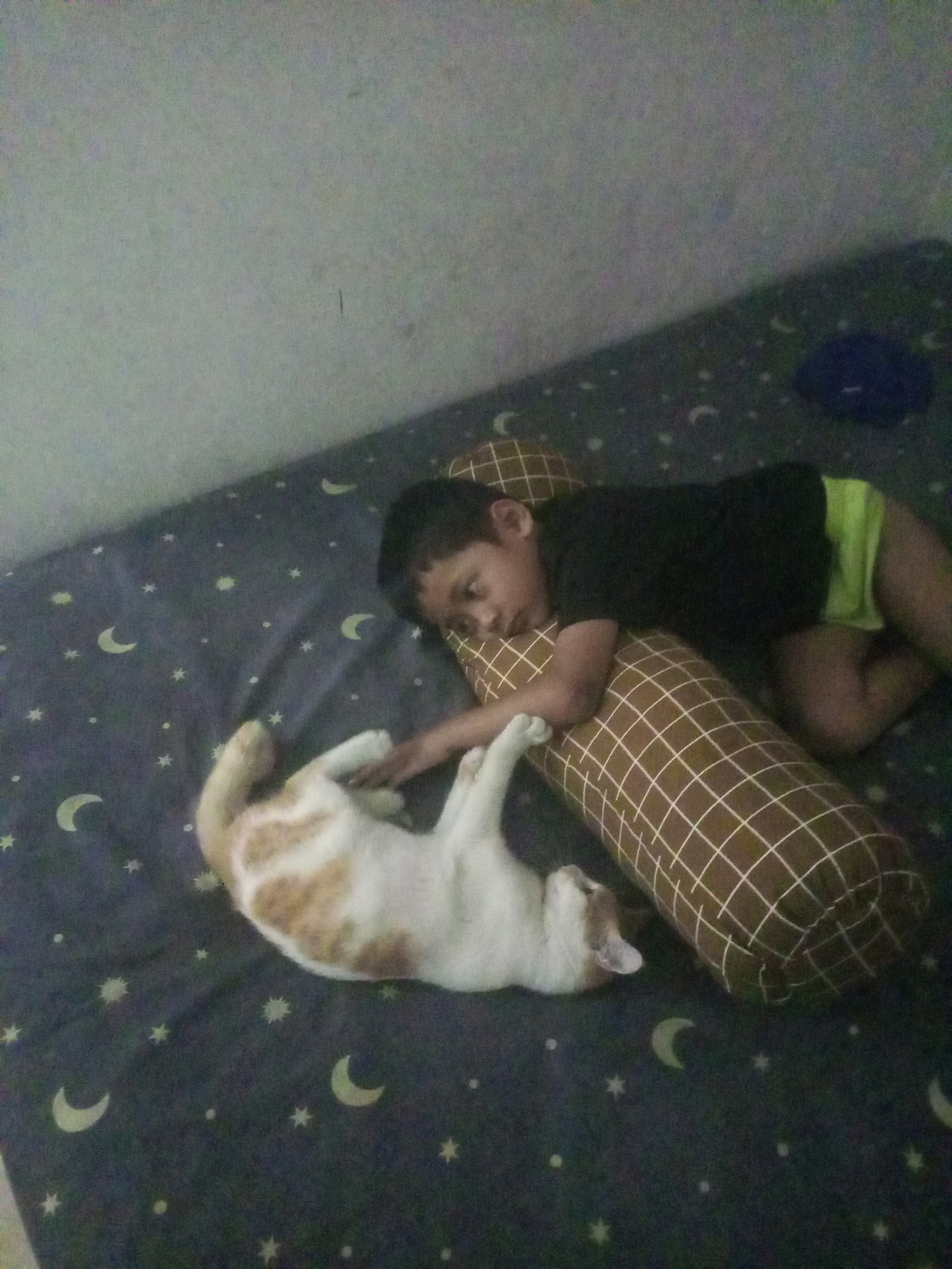 The image depicts a child and a cat resting on a bed in a bedroom. The child, appearing to be asleep or dozing, is lying on their side, propped up by a cylindrical pillow with a brown and white grid pattern. The child is wearing a black t-shirt and bright green shorts. A ginger and white cat is lying on its back next to the child, its paws extended. The cat appears relaxed. The bed is covered with a dark blue sheet adorned with a pattern of crescent moons and stars. The background shows a plain, light-colored wall. The scene suggests a peaceful moment of rest or play between a child and their pet. This scene is set within a home in the city of Ngasem, Indonesia.