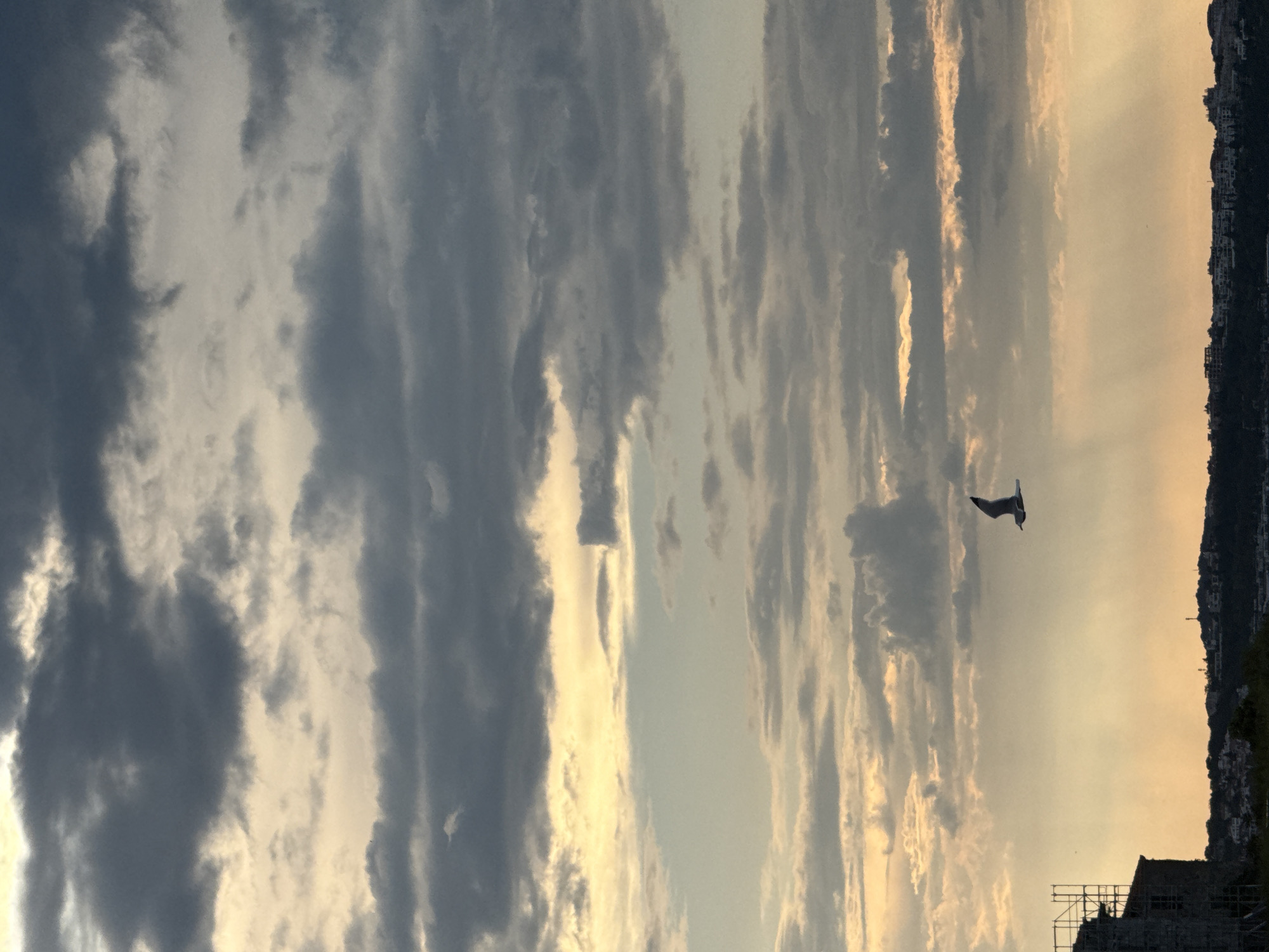 The image depicts a sky filled with vertical cloud formations, transitioning from dark grey on the left to lighter, sunlit formations on the right. A bird is captured mid-flight in the center-right, silhouetted against the brighter sky. The faint outline of a city skyline is visible along the far right horizon, and the top of a building or structure, possibly under construction with scaffolding, is visible in the lower right corner. I cannot confirm the location in the city of Sozopol, Bulgaria.