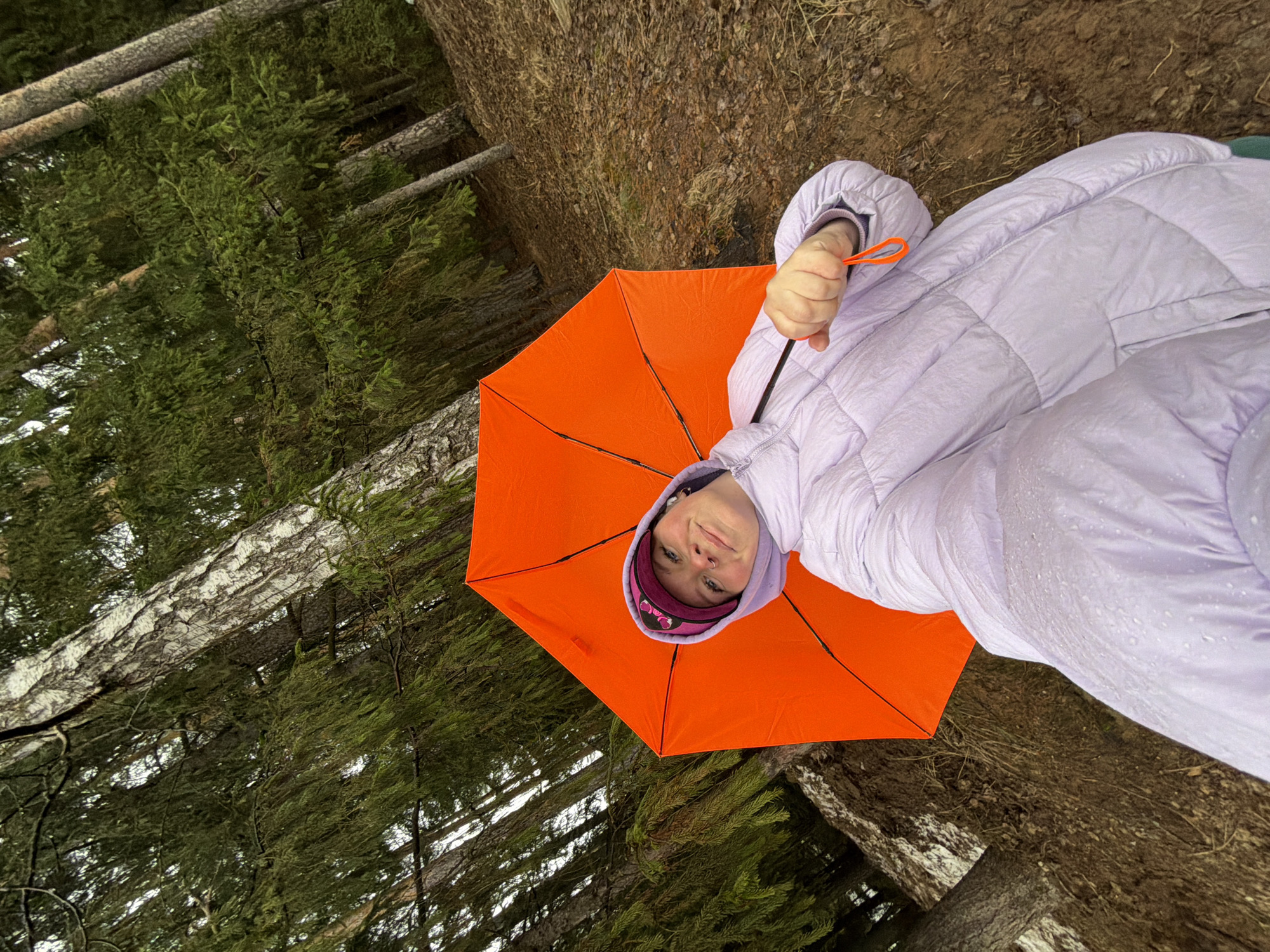A young woman wearing a lavender puffer jacket and a burgundy cap with a bow is holding an open, bright orange umbrella. The photograph is taken from a low angle, with the woman positioned diagonally in the center of the frame. Behind her, there's a forest setting with tall trees, including birch trees recognizable by their white bark. The ground is covered with brown fallen leaves and soil. Based on the provided information, the location is in the city of Chaikovsky, Russia.