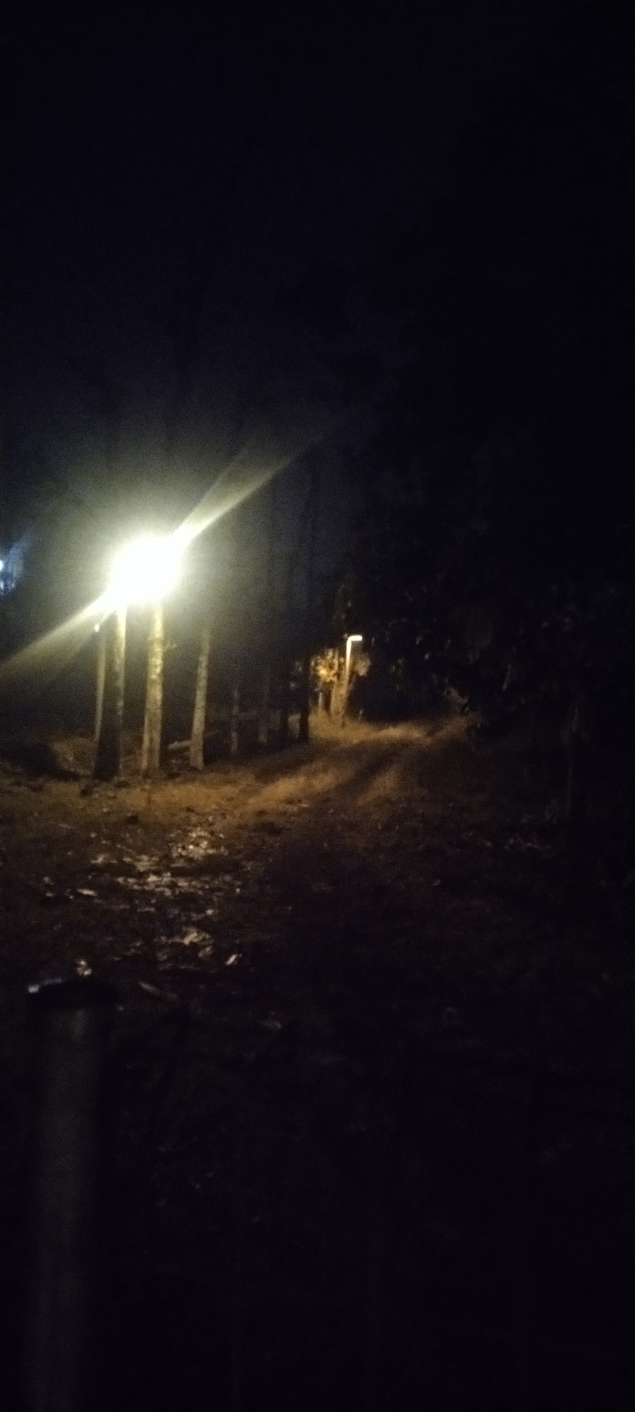 The image depicts a dimly lit outdoor scene at night. A bright lamp post illuminates a dirt path and surrounding trees. The ground appears to be covered with leaves and debris. In the background, a few more distant lights are visible, suggesting the presence of structures or other lighting. The overall impression is one of a rural or natural setting at night. The location is identified as Pasirhuni, Indonesia.