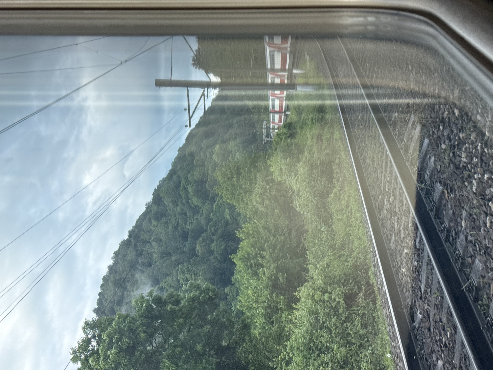 The image, taken from inside a train, shows a view of the landscape passing by through the train window. The scene is composed of a hill covered in dense green trees and vegetation, with some trees appearing in the foreground. Overhead power lines are visible against a cloudy sky. The train tracks are located close to the window. The image also contains reflection of buildings/train. The location is unknown, and no information suggests it is in Kirpichnoye, Russia. No people are visible.
