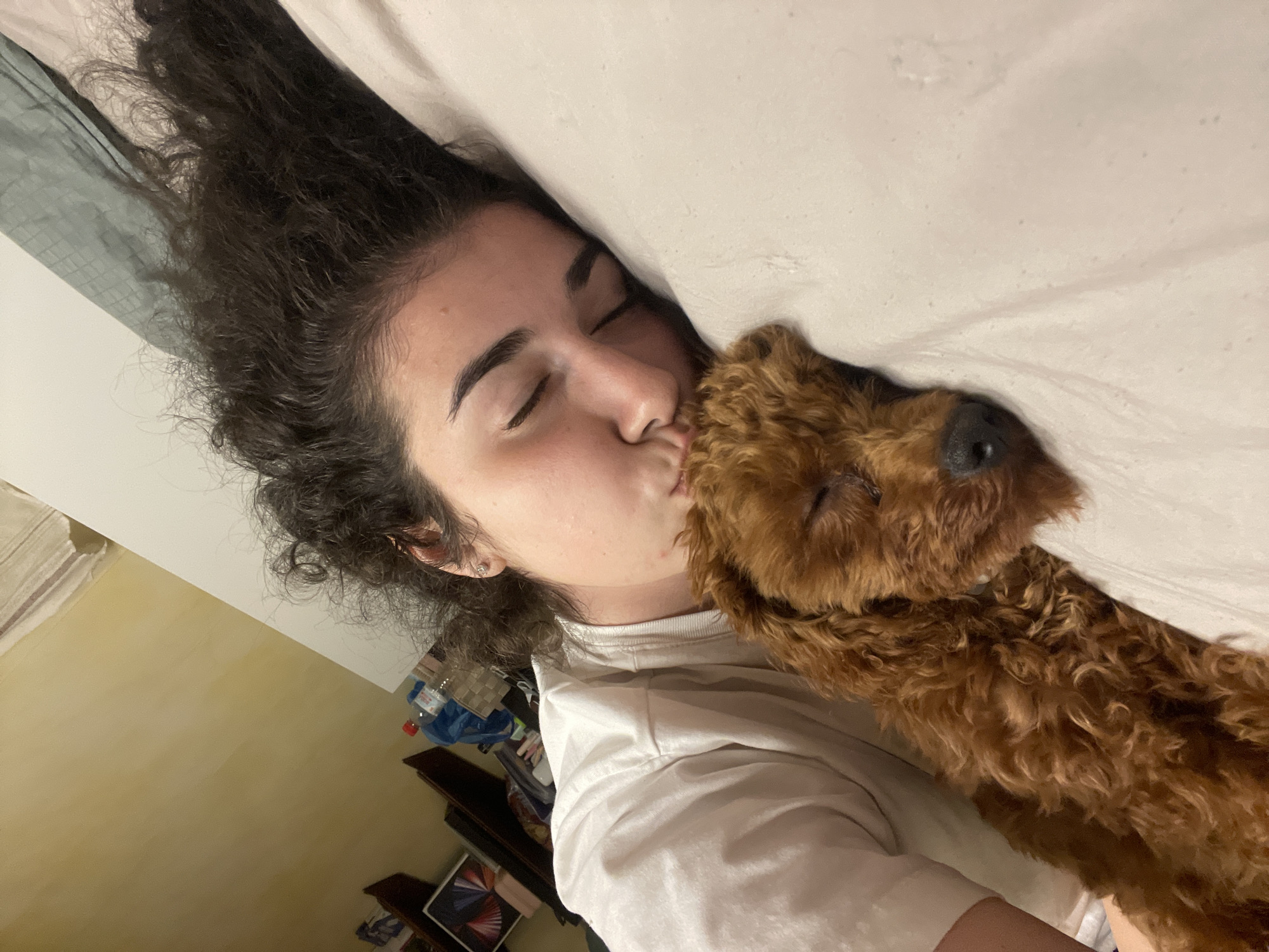 The image captures an intimate and tender moment between a person and a dog, both lying down on a bed with light-colored bedding. The perspective is a close-up, slightly angled shot, focusing on the two subjects.
The person, appearing to be a young woman, has dark, voluminous curly hair. She is wearing a light-colored (possibly white) t-shirt. Her eyes are closed, and her lips are gently pressed against the dog's head in what appears to be a kiss or a close nuzzle. Her expression conveys deep affection and peace. A small, subtle earring can be seen in her ear.
The dog is a small to medium-sized breed with dense, curly, reddish-brown fur, characteristic of a poodle or a similar breed. Its eyes are also closed, and it is nestled comfortably against the person's face. The dog's relaxed posture suggests it is either asleep or completely at ease and trusting.
The scene is indoors, likely a bedroom, indicated by the bedding. The background is softly blurred but shows hints of a light-colored wall or floor, and some indistinct objects on a surface, possibly a nightstand or shelf, including a plastic water bottle and what might be a tablet device. The lighting is dim and soft, contributing to a quiet, cozy, and personal atmosphere, suggesting the time of day could be evening, night, or an early, calm morning. The image vividly portrays a strong bond and mutual comfort shared between the human and their pet. No visible text is present in the image.