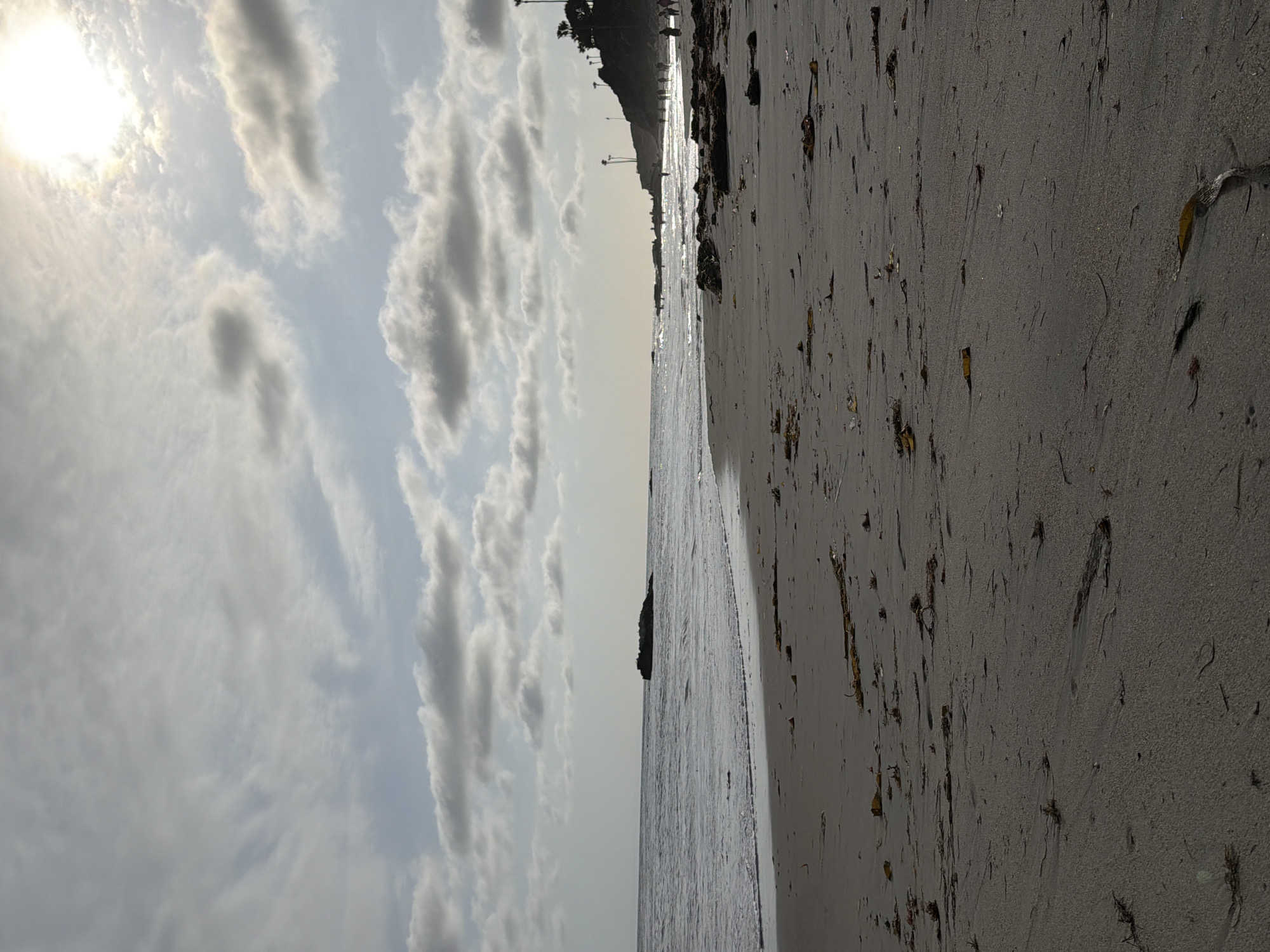 The image depicts a wide, sandy beach in Laguna Beach, California, USA. The foreground is dominated by the textured sand, with scattered pieces of dried seaweed and debris. In the mid-ground, the ocean meets the shore with gentle waves and a foamy white wash. A large, dark rock formation rises from the sea in the distance to the left. To the right, along the coastline, a grassy bluff is visible, dotted with palm trees and silhouetted figures of people walking and standing. The sky above is a mix of pale blue and scattered, wispy clouds, with the sun partially obscured, creating a bright, diffused light. The overall impression is a tranquil, late afternoon beach scene.