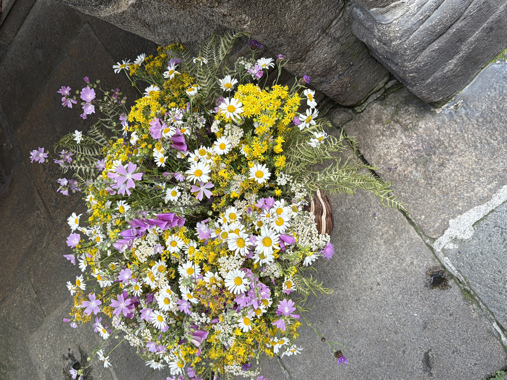 A high-angle, full shot captures a vibrant bouquet of wildflowers arranged in a woven basket. The flowers are a mix of white daisies with yellow centers, small white blossoms, delicate purple mallow flowers, and bright yellow wildflowers, interspersed with feathery green ferns. The bouquet is positioned on a grey, stone-paved ground, typical of pathways or courtyards. To the right of the bouquet, a weathered, dark grey stone pillar or wall is visible, its rough texture and distinct grooves suggesting an ancient structure. The ground appears slightly damp in places, with one small puddle of dark water reflecting the scene. The overall setting suggests an outdoor location within the historic city of Santiago de Compostela, Spain, potentially near a cathedral or an old building. No people are present in the frame.