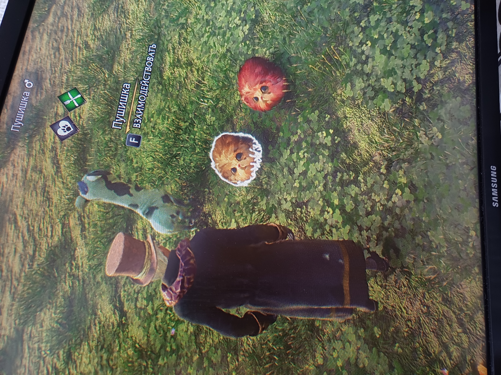 In a grassy outdoor environment with a mix of clover and sparse vegetation, a character wearing a tall top hat and a dark, ornate coat stands facing away from the camera. To the right of the character, a peculiar, spotted creature resembling a small giraffe is visible. In the foreground, two round, fuzzy objects resembling stylized creatures or toys lie on the grass. A UI element displays the text "Пушишка" (Pushishka) with symbols and an interaction prompt "F ВЗАИМОДЕЙСТВОВАТЬ" (F INTERACT). The scene is illuminated by natural light, suggesting daytime.