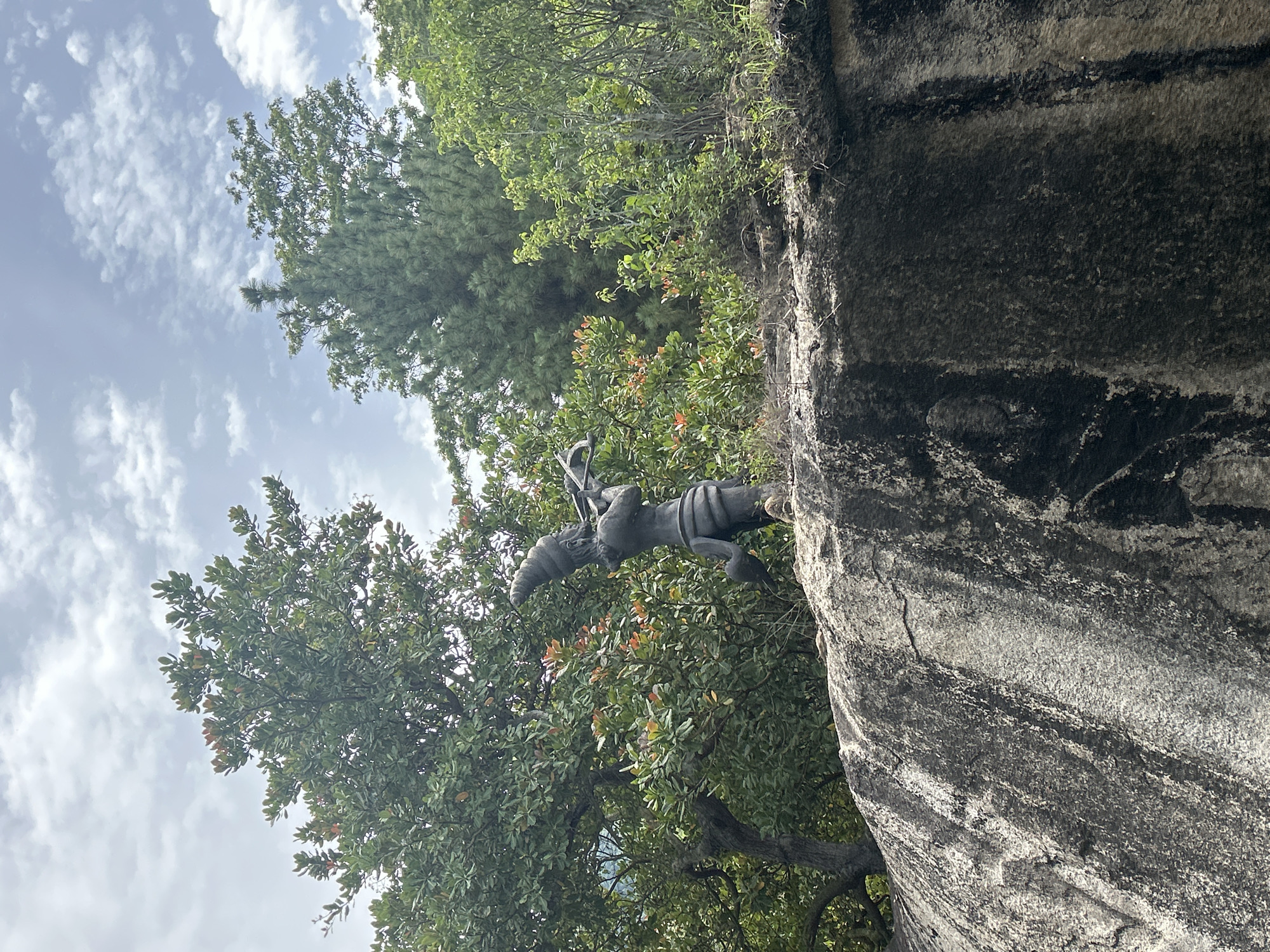 The image shows a weathered stone statue of a figure playing a horn, positioned on a large, textured rock formation. The statue, appearing to be made of dark, aged stone, depicts a figure with a distinctive conical headdress, wearing what seems to be traditional clothing. The figure is shown in profile, with its body slightly bent, holding a horn-like instrument to its mouth. The rock beneath the statue is rough and uneven, with visible striations and variations in color, suggesting erosion over time.
Behind the statue, a lush, green landscape unfolds. Trees with dense foliage dominate the background, interspersed with smaller shrubs and grasses. Some of the leaves on the trees exhibit a reddish-orange hue, hinting at either seasonal change or the presence of flowering plants. The sky above is partly cloudy, with white clouds scattered across a pale blue expanse. The overall impression is of an outdoor setting, likely a natural environment or a sculpted garden.
The specific location is the Thang Loi tourist area in Hoa Thang commune, Bac Binh district, Binh Thuan province, Vietnam. This area is known for its unique geological formations and natural beauty. The statue itself is a notable feature within this landscape, contributing to the cultural and aesthetic appeal of the location. The scene captures a moment of stillness, with the statue seemingly frozen in its musical performance against the backdrop of verdant nature and a dynamic sky.
