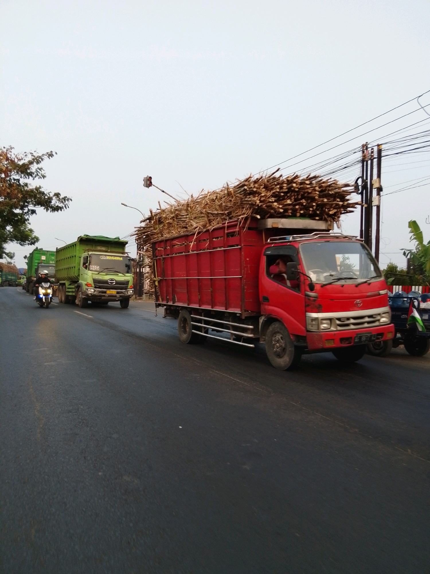 A red truck loaded with sugarcane stalks is driving down a street in Pasuruan, Indonesia. A green truck is following behind the red truck, and a motorcycle is in front of the green truck. The sky is overcast, and there are power lines overhead. The red truck has the license plate "AD 1607 VL."