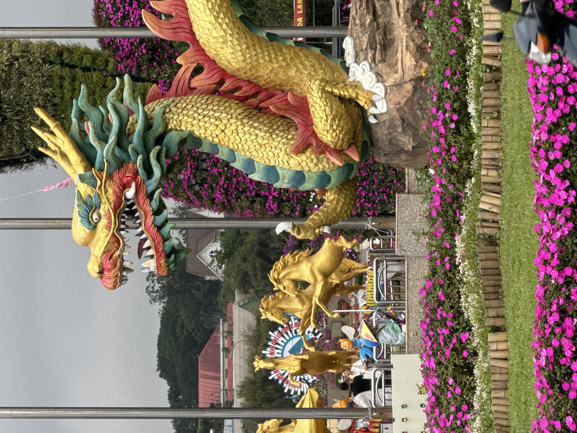 The image shows a large, ornate dragon sculpture, predominantly gold and green, with red accents, positioned prominently in a garden setting. The dragon is coiled and appears to be roaring, with sharp teeth visible. In the background, there are several golden horse sculptures, one rearing up. Behind these, a lush green wall of plants and vibrant pink flowers are visible, possibly a vertical garden. Further in the distance, buildings with red roofs and trees suggest an urban or suburban environment. In the foreground, a manicured lawn is bordered by more pink flowers and a low bamboo fence. A motorcycle is partially visible in the lower right corner. A few people are present in the middle ground, some appearing to be interacting with the horse sculptures, and one individual is wearing a conical hat. The scene is located in Lâm Viên - Đà Lạt, Vietnam, likely a tourist attraction or public garden.