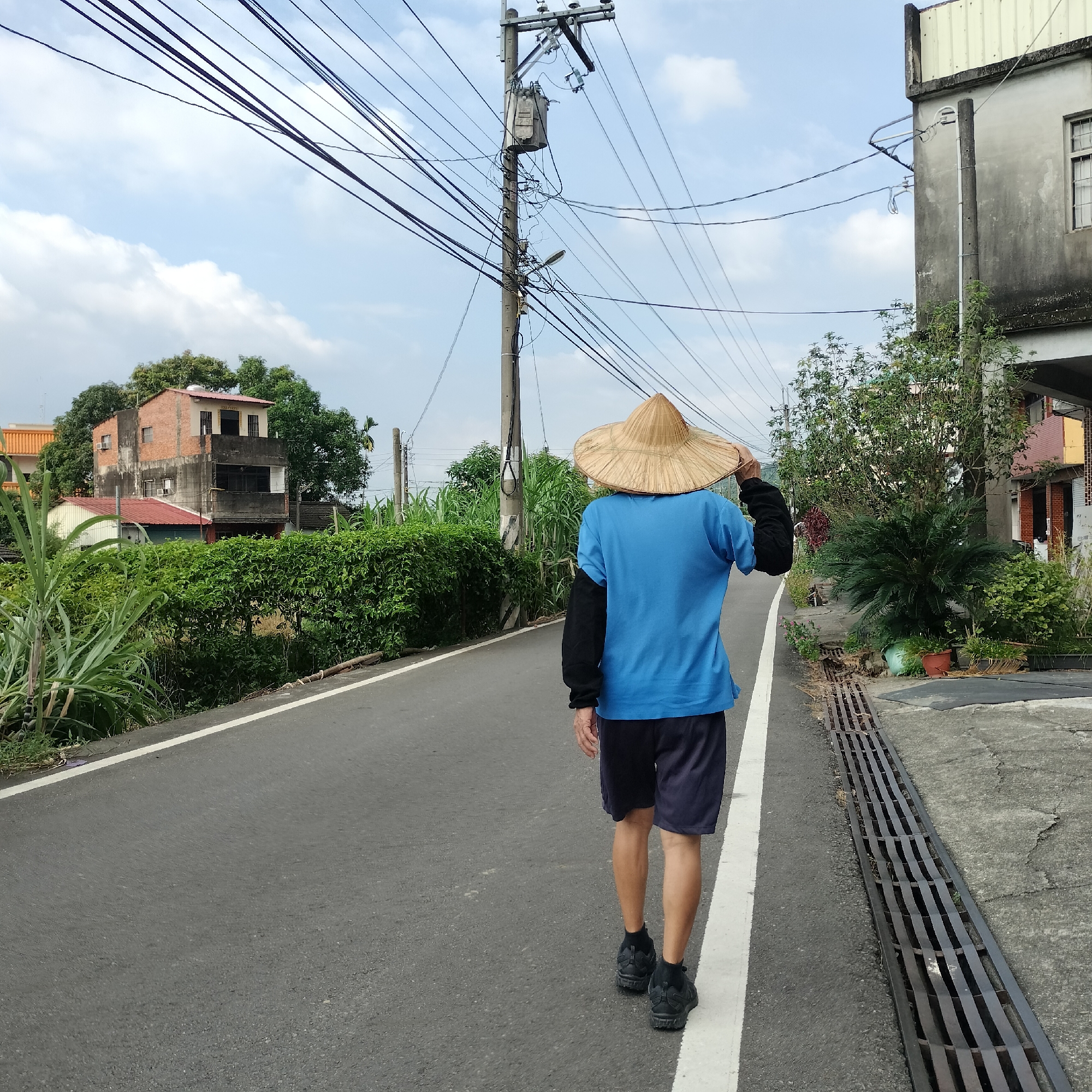 A person wearing a conical straw hat, a blue t-shirt, and dark shorts walks away from the camera on an asphalt road. The person is wearing black athletic shoes. The road has a white line marking the edge. To the left of the road, there is lush green vegetation, including tall reeds. In the background, there is a multi-story building with a brick facade and a smaller, white-roofed structure next to it. Further in the distance, another building with a red roof and visible window frames is seen. A utility pole with numerous wires and a transformer stands to the left of the person. To the right of the road, there is a concrete sidewalk with a metal grate drain and more vegetation. The sky is partly cloudy. This scene is located in Zhushan Township, Taiwan.