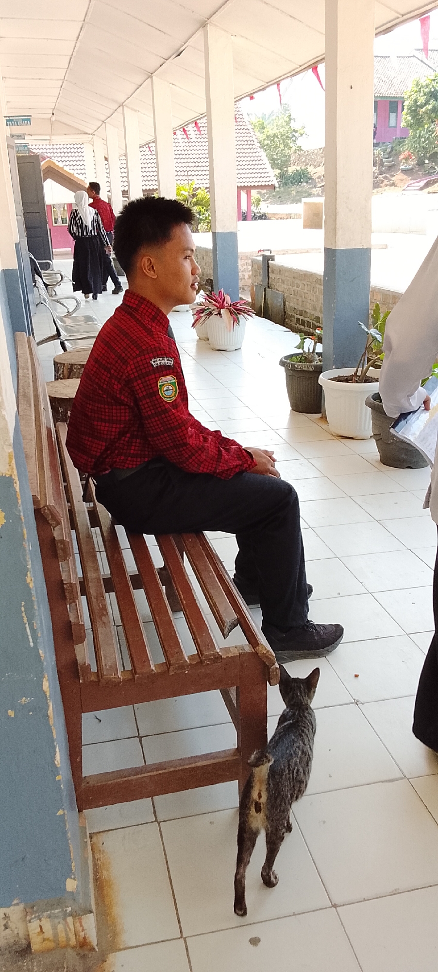 A young male student wearing a red plaid long-sleeved shirt and black pants sits on a wooden bench in an outdoor covered walkway. The student has short, dark hair and is looking to his right. To the left of the bench, there is a wooden stool. In front of the student and to the right, a small tabby cat stands on the tiled floor, looking away from the camera. Several potted plants are visible behind the student, and other students in uniform are in the background. The walkway has a white ceiling with visible beams and is supported by white columns with blue bases. The environment appears to be a school campus, likely in Jepara, Indonesia, given the red and white flag decorations.