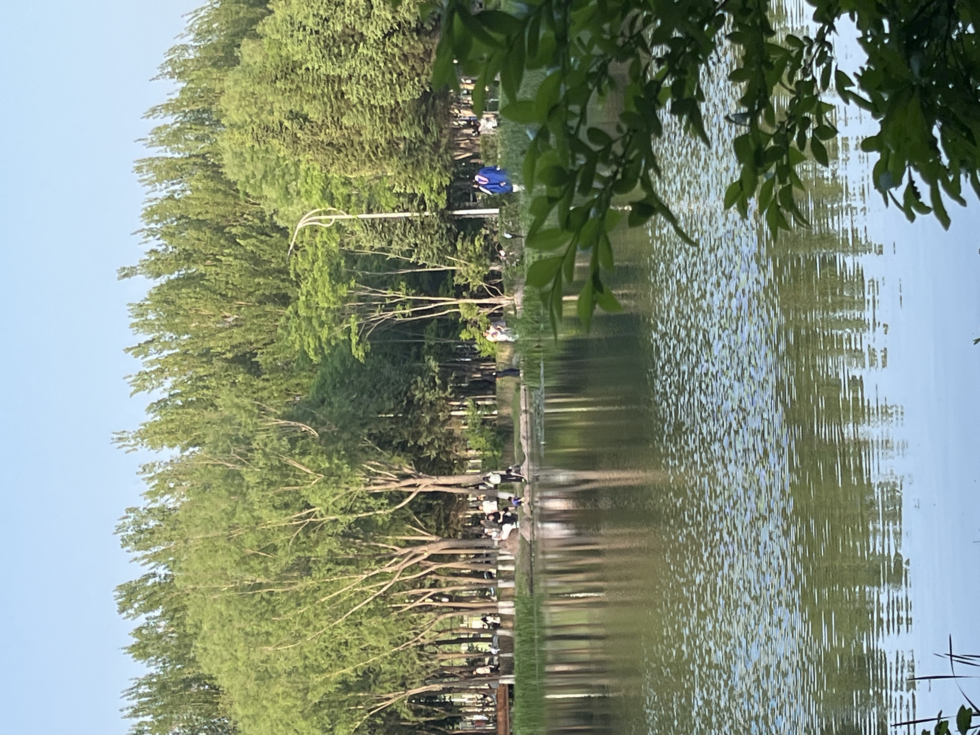 A horizontal, eye-level shot depicts a park-like scene with a body of water, likely a lake or pond, in Changchun City, China. The water surface has a rippled reflection of the opposite bank. The bank is lined with tall trees forming a green canopy. People are sparsely scattered along the bank. There's a lamppost visible among the trees. A large leafy branch from another tree is overhanging in the upper right corner, obscuring some of the scene. The sky is visible above the treeline.
