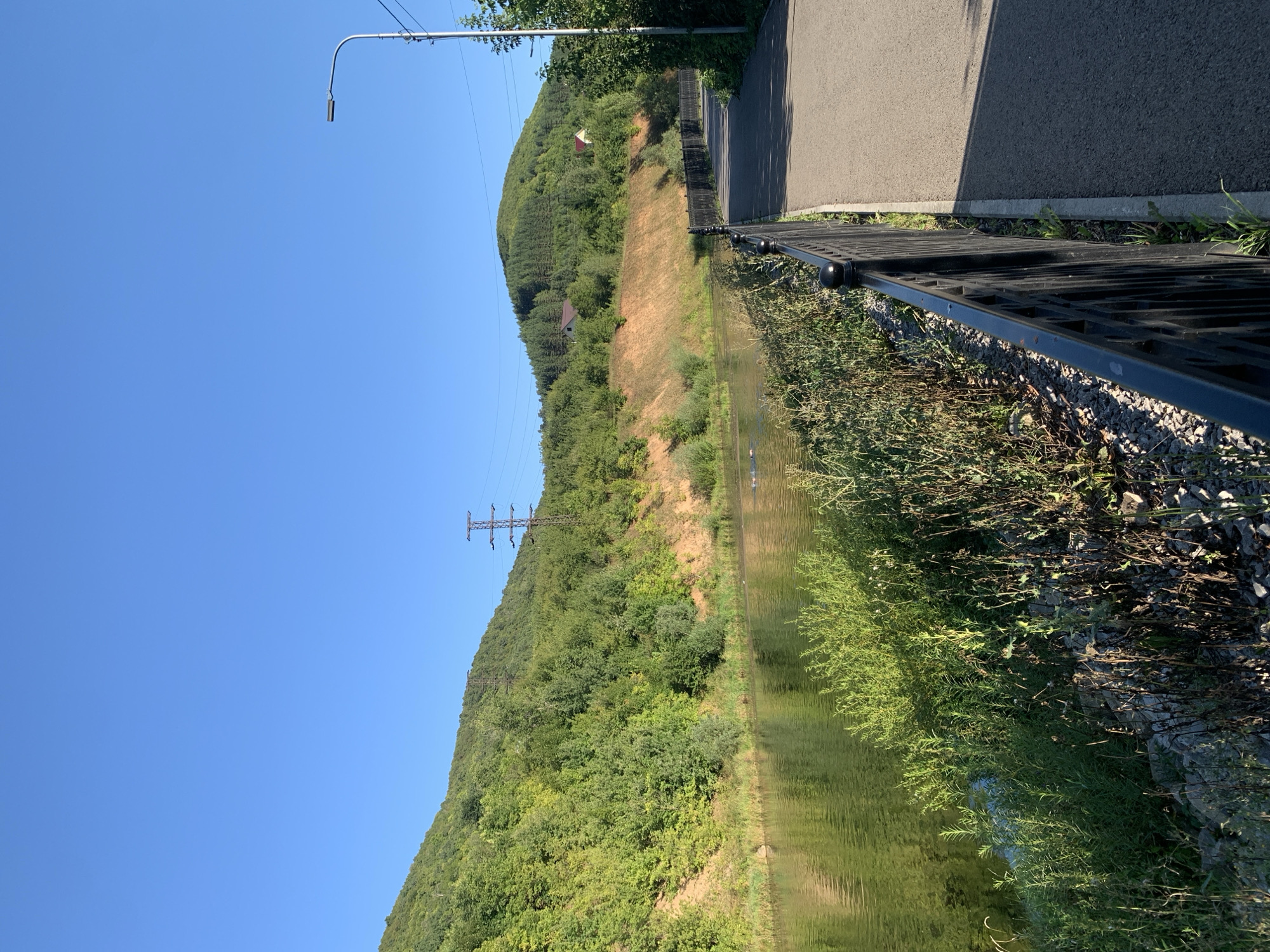 The image shows a scenic view of a river and hills in the city of Asha, Russia. On the left side, a calm, green river flows, bordered by lush vegetation and rocky shores. Several dark shapes in the water suggest the presence of swimming individuals or objects. The right side of the image features a paved pathway, separated from the river by a black metal fence. A modern street lamp stands tall on the right edge of the path. In the background, rolling green hills rise, dotted with trees and a few houses. A tall, lattice-like power line tower is visible on the slope of one of the hills. The sky is clear and bright blue, indicating a sunny day.