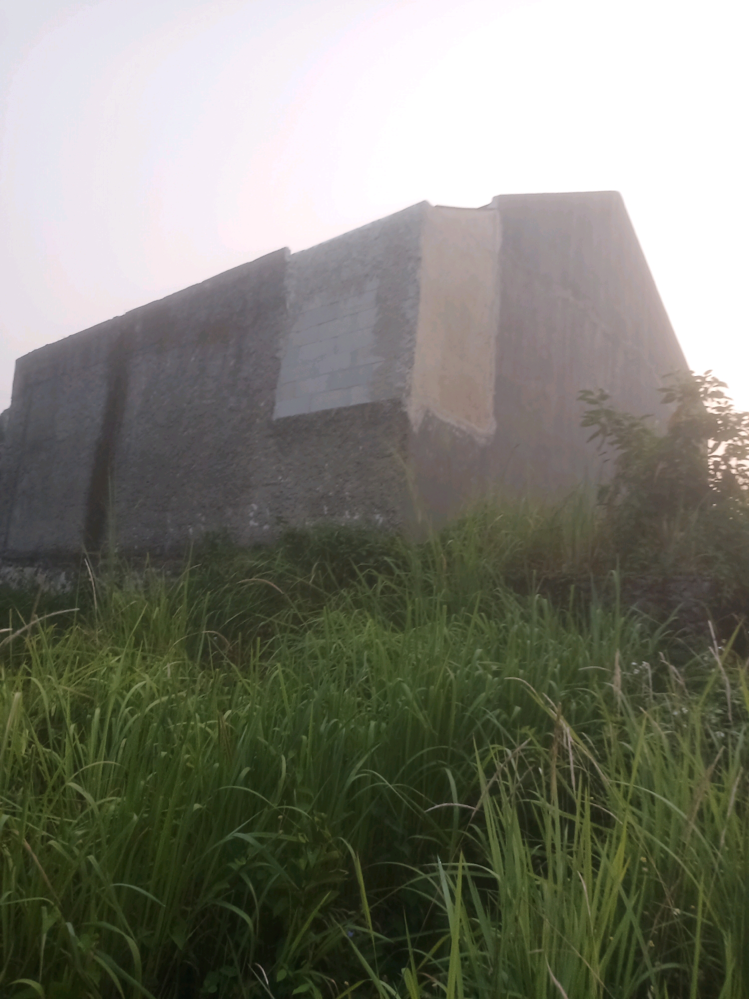 The image depicts a low-angle shot of a partially constructed or dilapidated building, seen from a distance, partially obscured by overgrown tall green grass in the foreground. The building appears to be made of concrete or cinder blocks, with rough textures visible on its surfaces. There are distinct variations in the building's facade, with some areas appearing rough and unfinished, while others show smoother, plastered sections. The structure has a distinct, angular shape, with a sloped roofline. A tall, slender, dark vertical mark is present on the left side of the building's facade. The sky above is bright and overcast, suggesting either early morning or late afternoon light, or possibly a hazy or foggy atmospheric condition. No people or vehicles are visible in the frame. The environment appears to be an uncultivated or undeveloped area. This location is identified as being in Ciseeng, Indonesia.