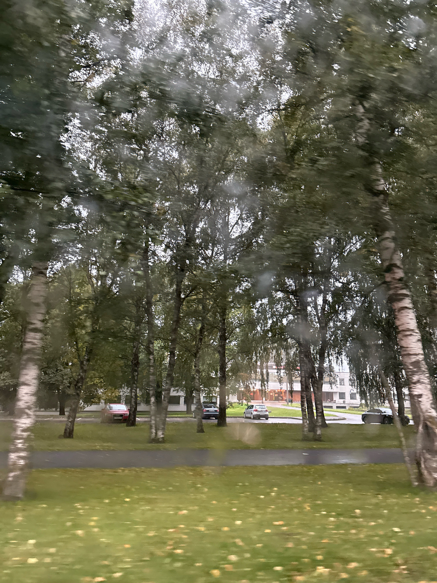 The image depicts a view through a rain-streaked window, looking out onto a street lined with birch trees. The trees have green foliage, and some yellow leaves are scattered on the grass in the foreground, suggesting it is autumn. Several cars are visible parked on the side of the road and in a lot. In the background, there is a multi-story building, likely an apartment building or office block, with windows and balconies. The overall scene is overcast and appears to be a residential or mixed-use area within the city of Tallinn, Estonia.