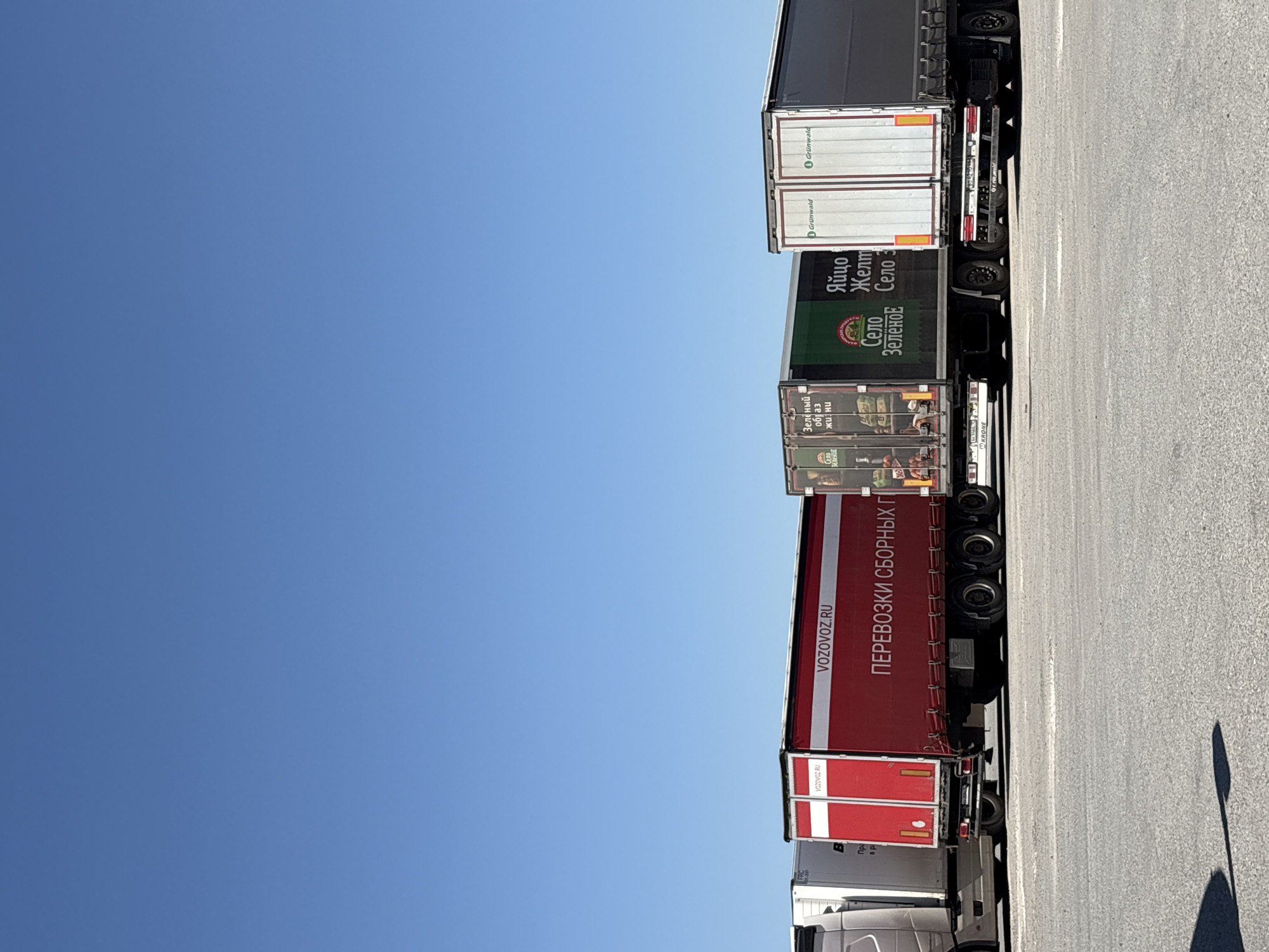 The image shows a line of parked semi-trucks against a clear, blue sky, possibly in Grishanki, Russia. The trucks have various logos and advertisements. One prominently displays the Russian text "VOZOVOZ.RU ПЕРЕВОЗКИ СБОРНЫХ Г" and is painted red and white. Another truck has the text "Яйцо Желтно" and "Село Зеленое," and a third reads "Grünwald." The scene is set on an asphalt surface, marked with parking lines, suggesting a truck stop or parking area. A shadow is visible on the asphalt.