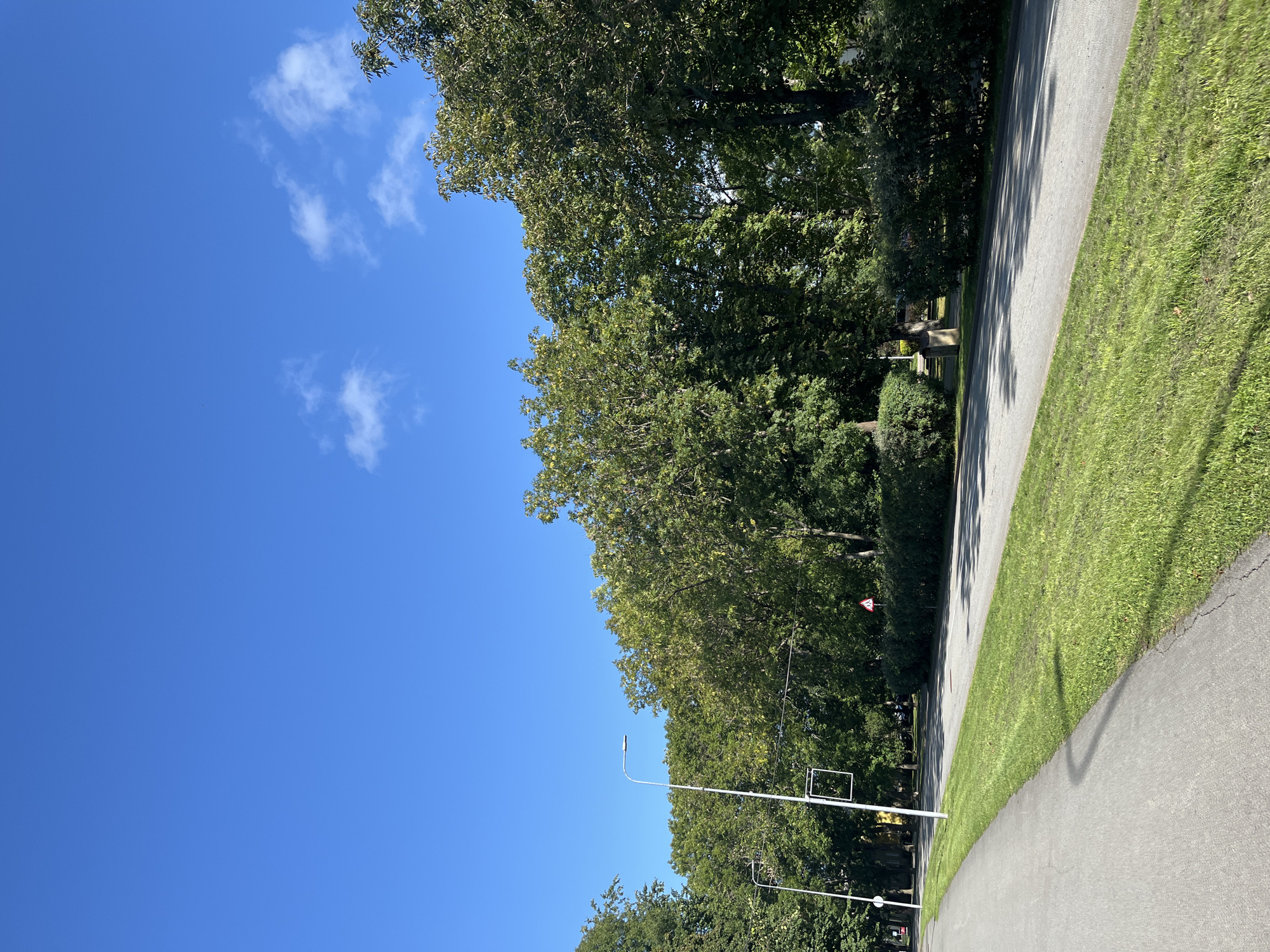 The image depicts a serene street scene with a clear blue sky dotted with a few white clouds. A paved walkway runs along the left side of the frame, bordered by a strip of vibrant green grass. Beyond the grass, a road stretches into the distance, lined with lush green trees and manicured hedges. A tall lamppost stands on the left side of the road, its white pole contrasting with the foliage. In the background, a pedestrian crossing sign with a red triangle and a black silhouette of a person walking is visible. The overall impression is one of a well-maintained urban park or residential area in Kohtla-Järve linn, Estonia, on a sunny day. There are no people or vehicles visible in the frame.