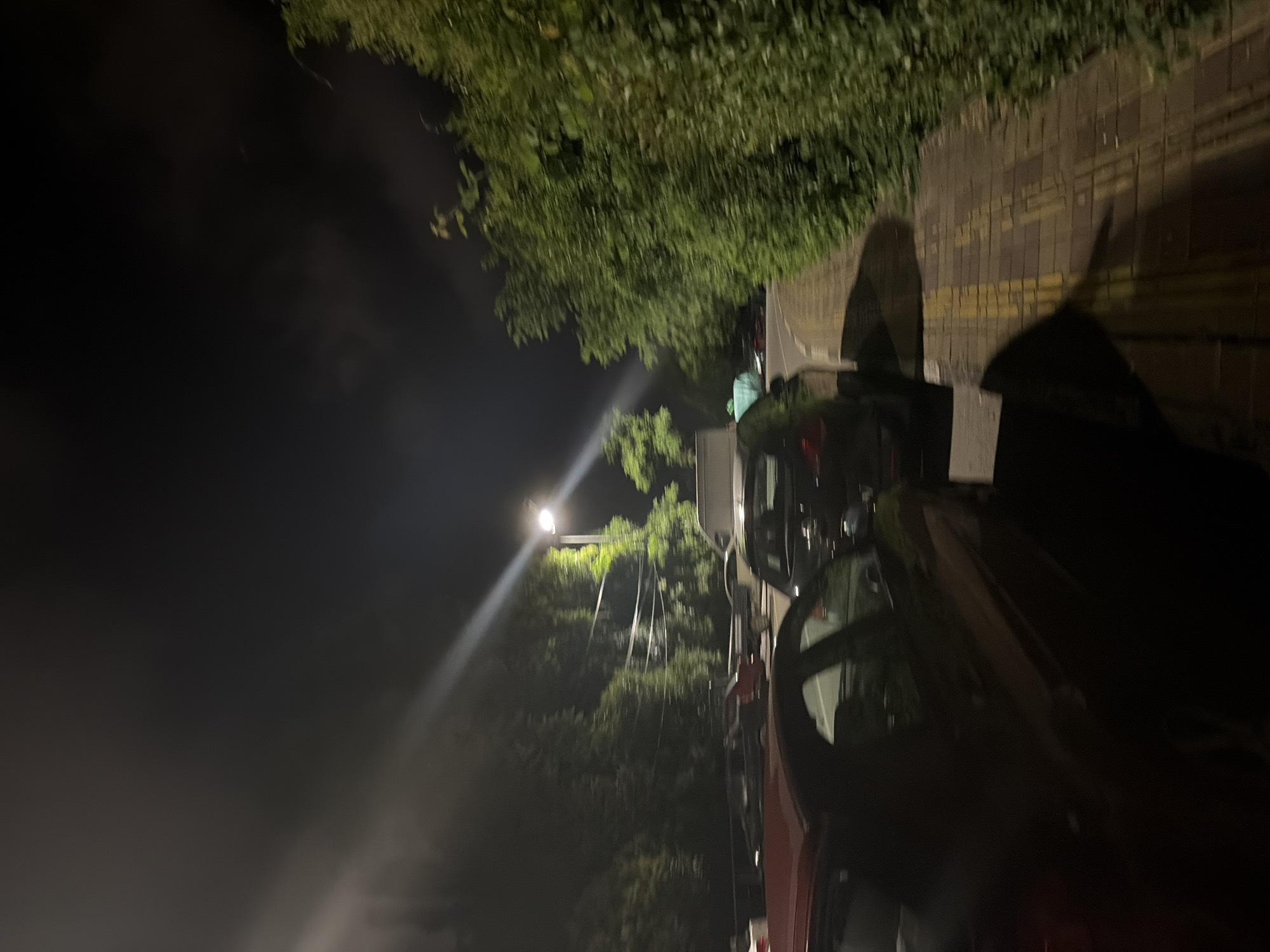 The image depicts a night scene in Sochi, Russia, with several cars parked along a paved walkway lined by dense greenery. A street lamp illuminates the area, casting long shadows and creating a spotlight effect on the trees and overhead wires. The foreground is dominated by the rear of a dark-colored car and the side of a red car. Further down the street, other vehicles, including a white van and a utility vehicle, are visible. The overall atmosphere is dimly lit, typical of an urban environment after dark.