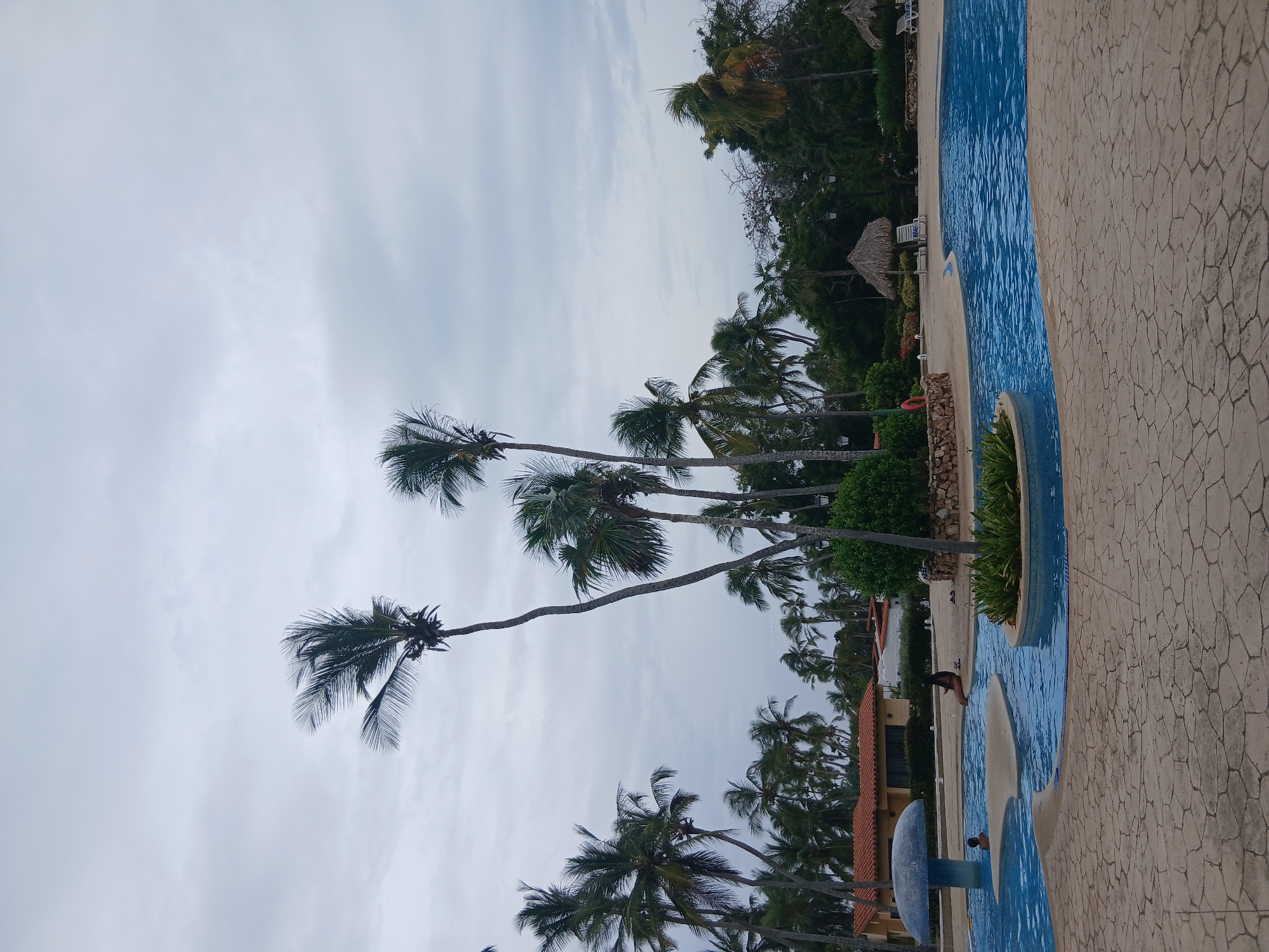 The scene shows a swimming pool area, likely in a tropical resort in Playa El Agua, Venezuela. The sky is overcast. The pool has a light blue color and is surrounded by a patterned concrete surface. Palm trees are visible in the background. There are people in the pool and some foliage around the pool's edge. A thatched roof structure is also visible in the background.