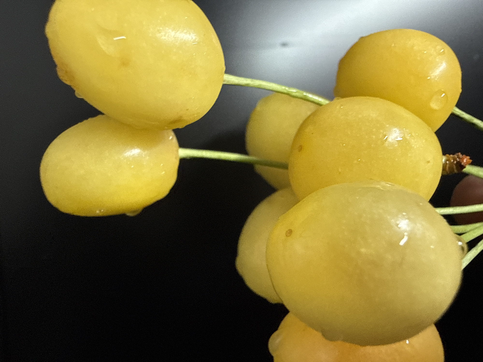 A close-up, macro photograph showcases a cluster of yellow cherries against a dark, out-of-focus background. The cherries are round and plump, with a smooth, slightly shiny skin. Many of them are adorned with small, glistening water droplets, suggesting they have recently been washed or are naturally moist. The lighting highlights the subtle variations in the yellow hues, ranging from a pale lemon to a deeper, golden yellow. The stems connecting the cherries are thin and green, adding a touch of contrasting color. Some of the cherries have tiny imperfections, like small brown spots or indentations, which give them a natural, unedited appearance. The overall impression is one of fresh, ripe fruit, captured in intimate detail. The shallow depth of field blurs the background into an abstract wash of dark gray and white, effectively drawing the viewer's attention solely to the texture and form of the cherries. There is no visible text in the image.