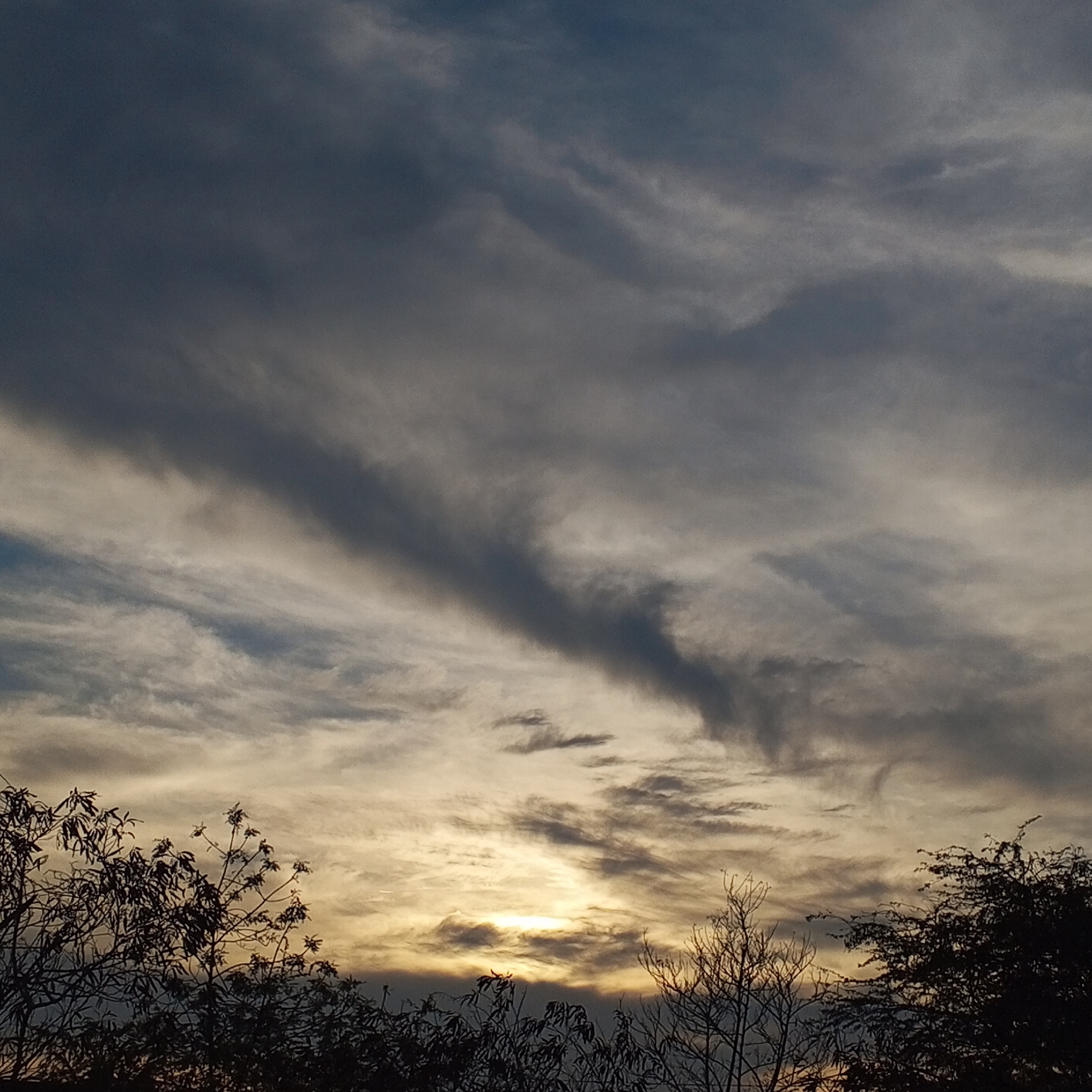 The image shows a sky at dusk or dawn, with dark, wispy clouds dominating the upper portion. A band of golden light illuminates the horizon, partially obscured by darker clouds. Silhouetted tree branches are visible in the foreground, across the bottom of the frame. The location is Unknown, Unknown. No people are visible.