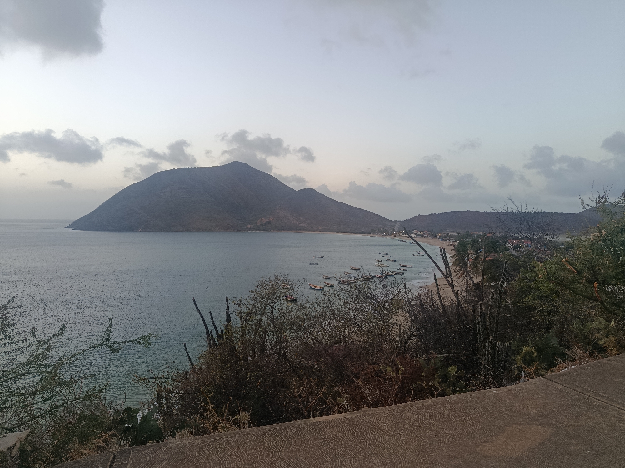 The image captures a scenic view of the coast near Juan Griego, Venezuela. A large, rounded mountain dominates the left side of the frame, meeting the ocean. A beach lines the coast, dotted with numerous small boats. A small town is visible on the right side of the beach, nestled against another, smaller mountain range. In the foreground, there's vegetation that includes cacti and other shrubbery, partially obscuring the view. A concrete structure or wall is situated at the bottom of the frame. The sky is overcast with clouds, suggesting the time of day is either early morning or late afternoon.